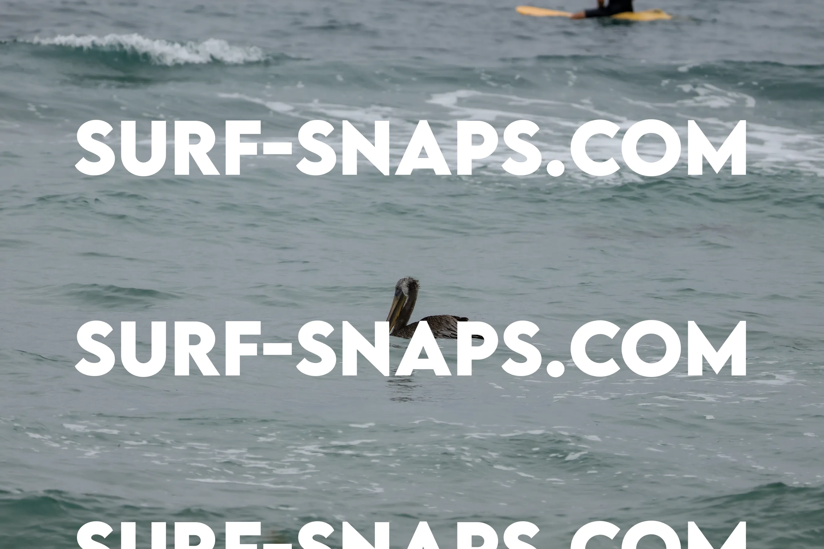 tourmaline Surf park photo 397
