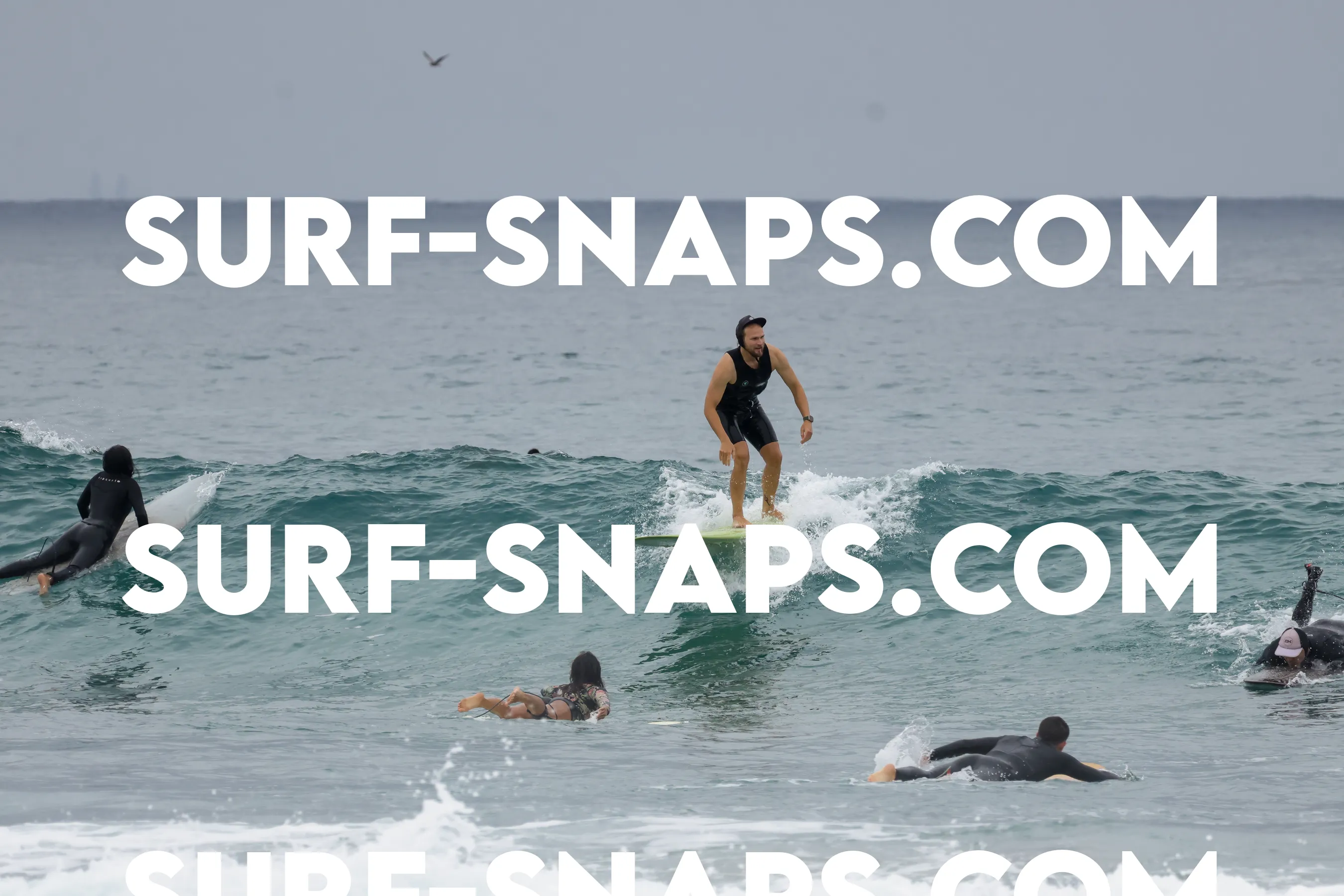 tourmaline Surf park photo 437