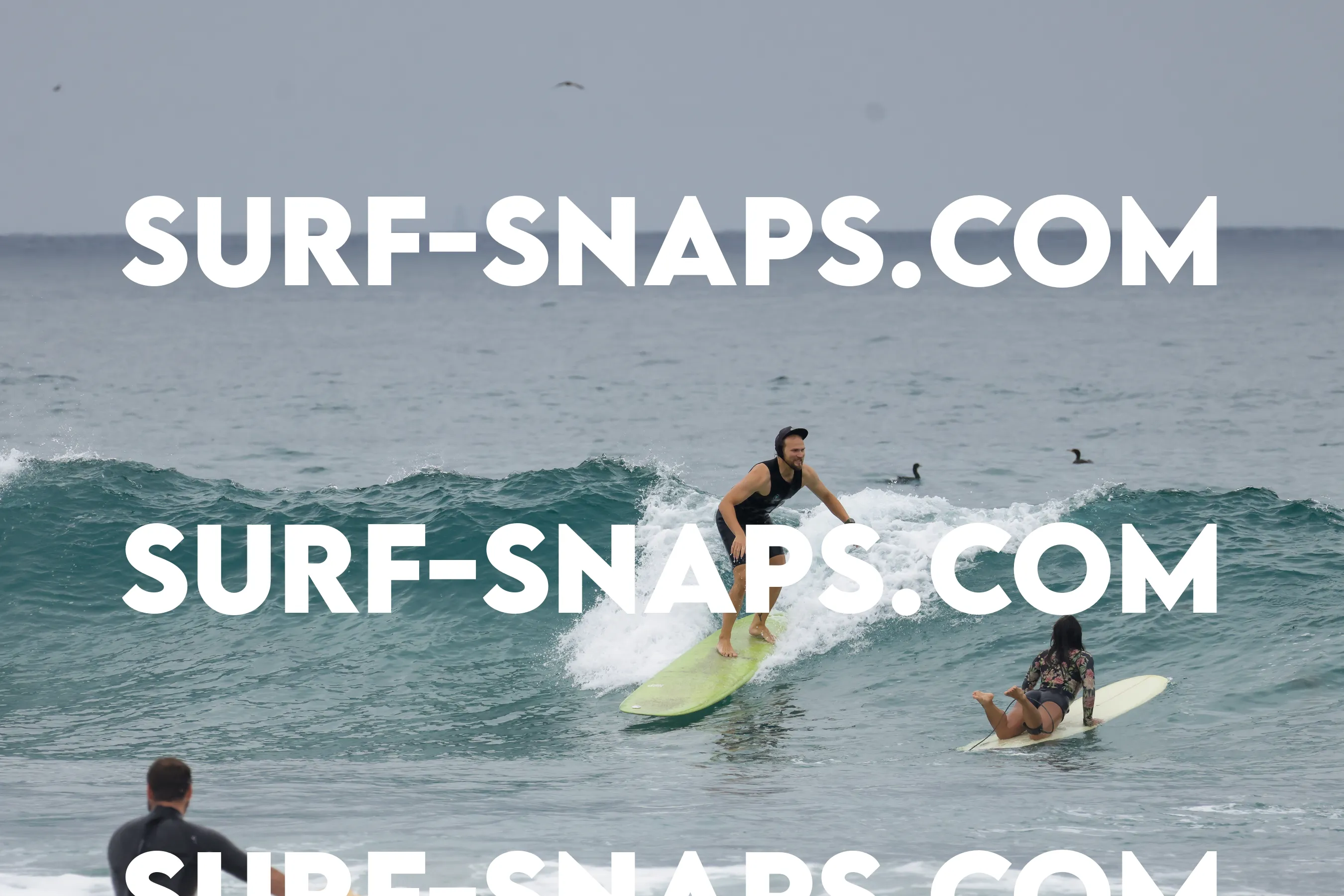 tourmaline Surf park photo 438