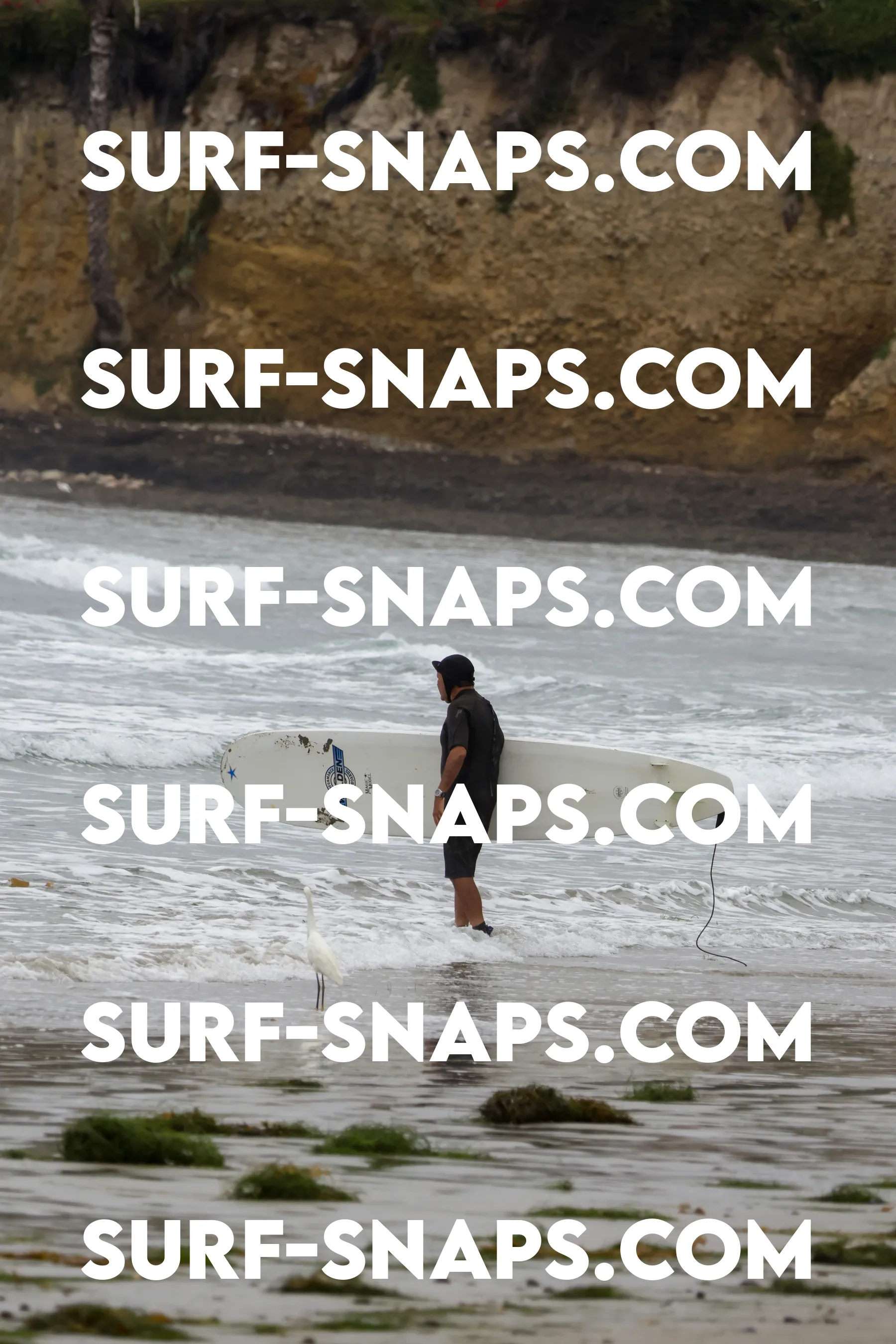 tourmaline Surf park photo 17