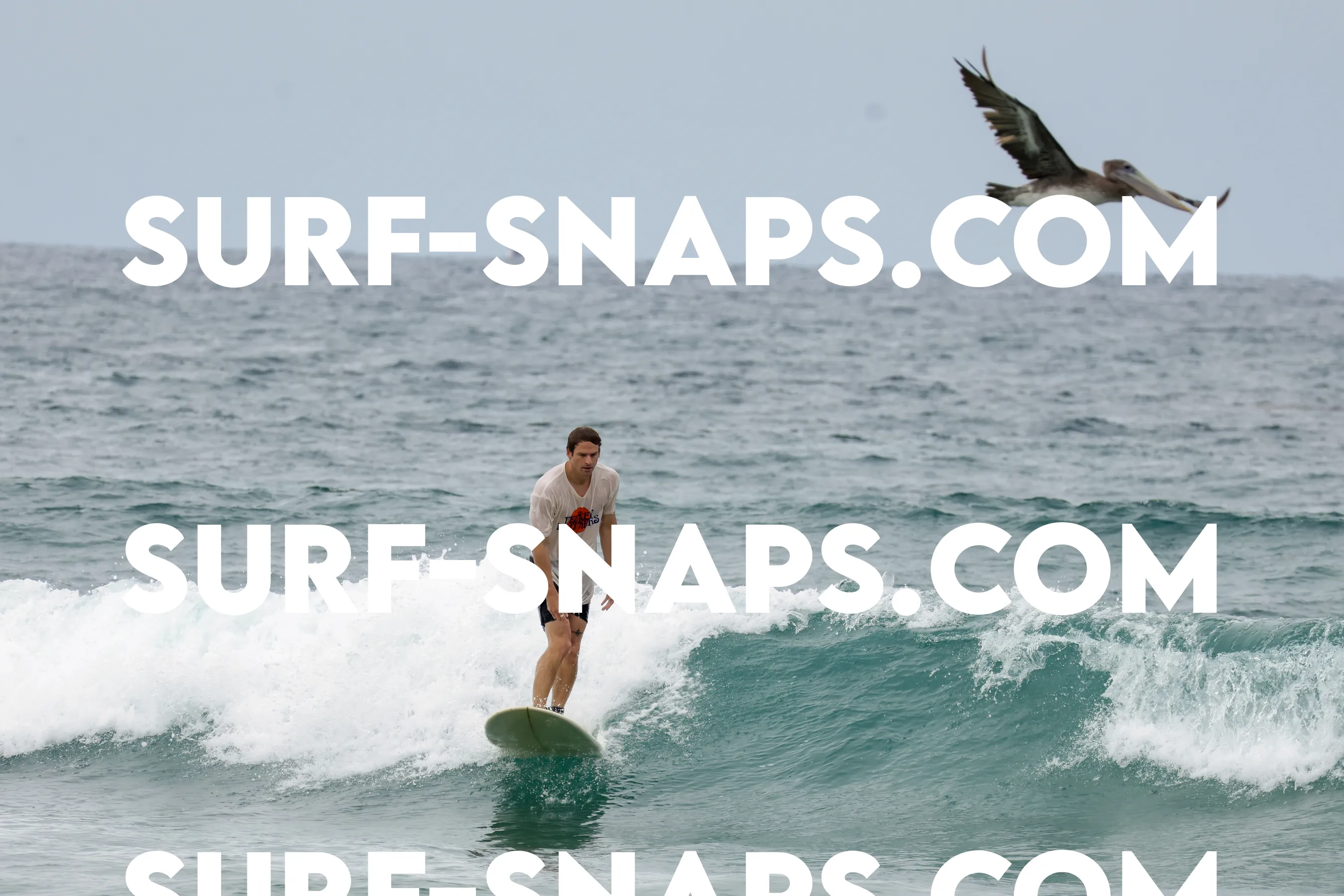 tourmaline Surf park photo 245