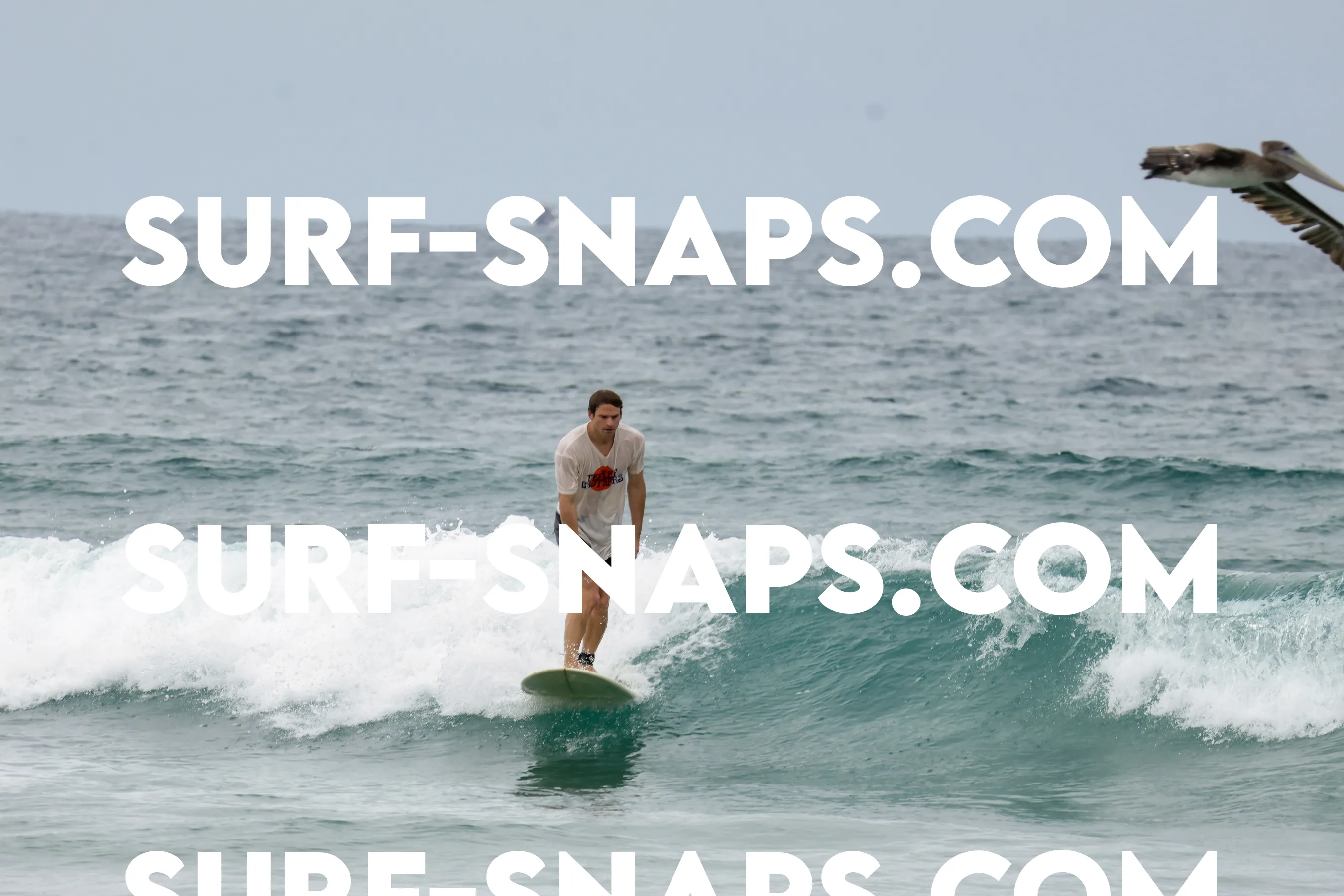 tourmaline Surf park photo 250