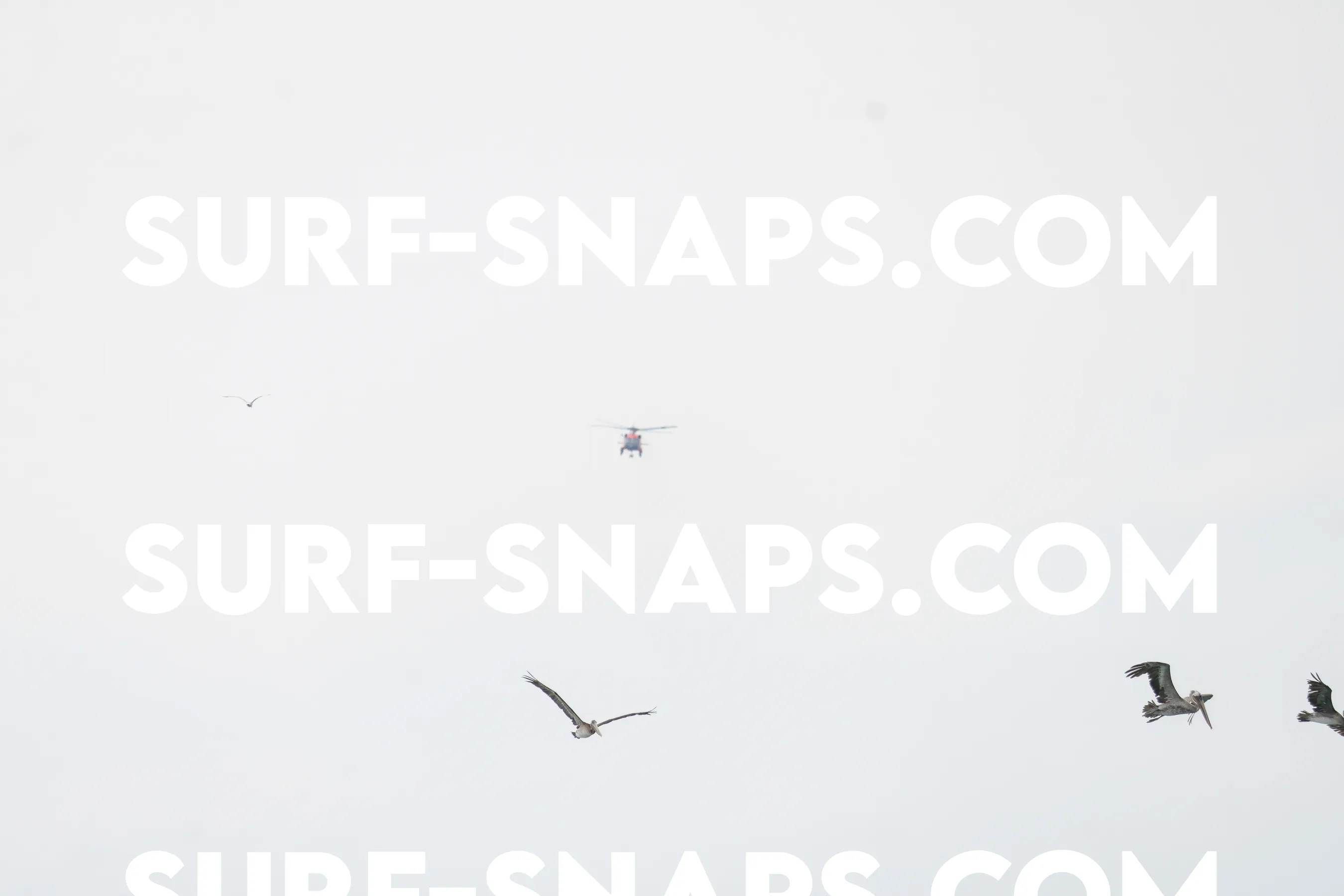 tourmaline Surf park photo 251