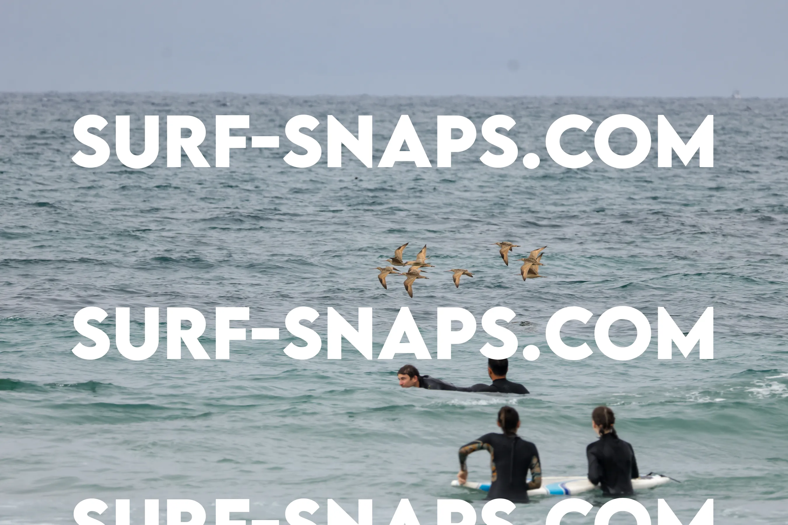 tourmaline Surf park photo 369
