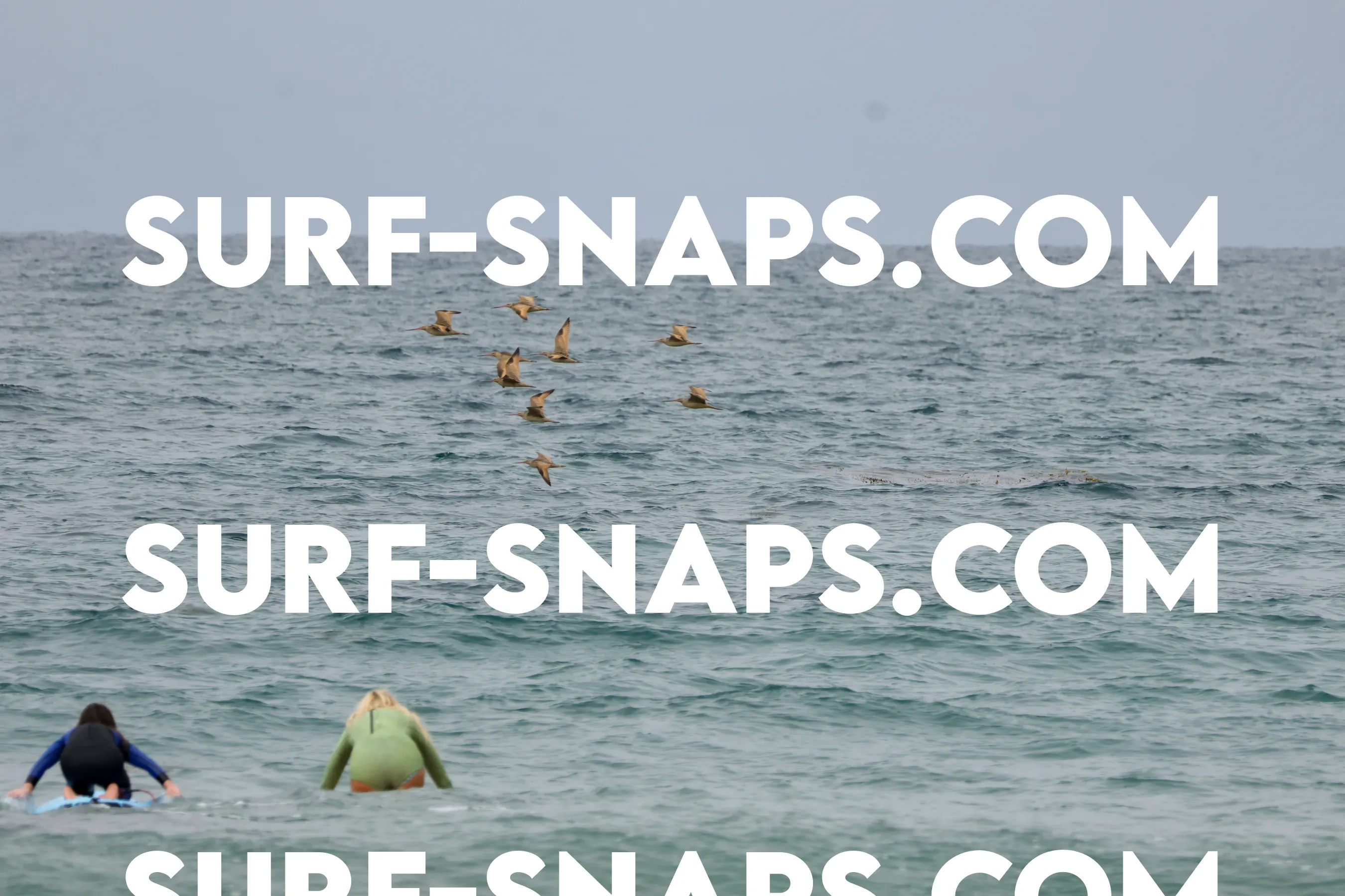 tourmaline Surf park photo 370