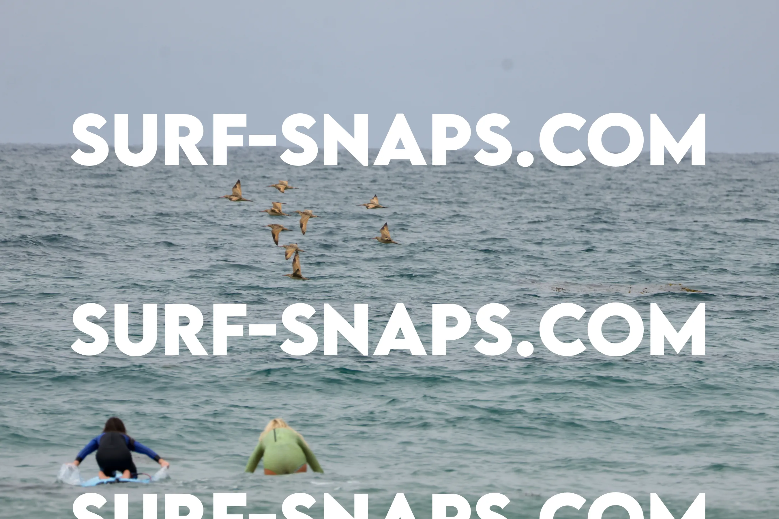 tourmaline Surf park photo 359