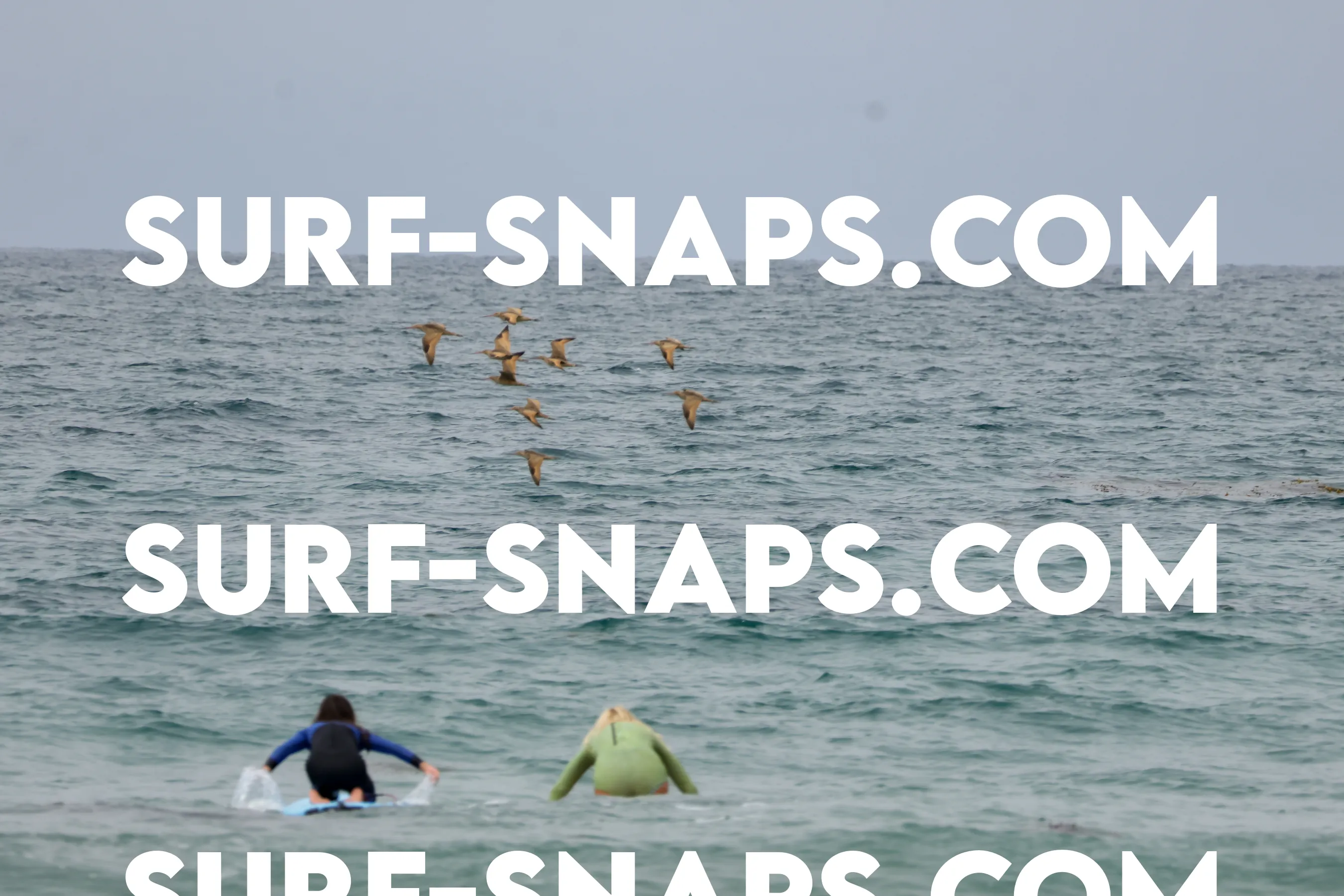 tourmaline Surf park photo 372