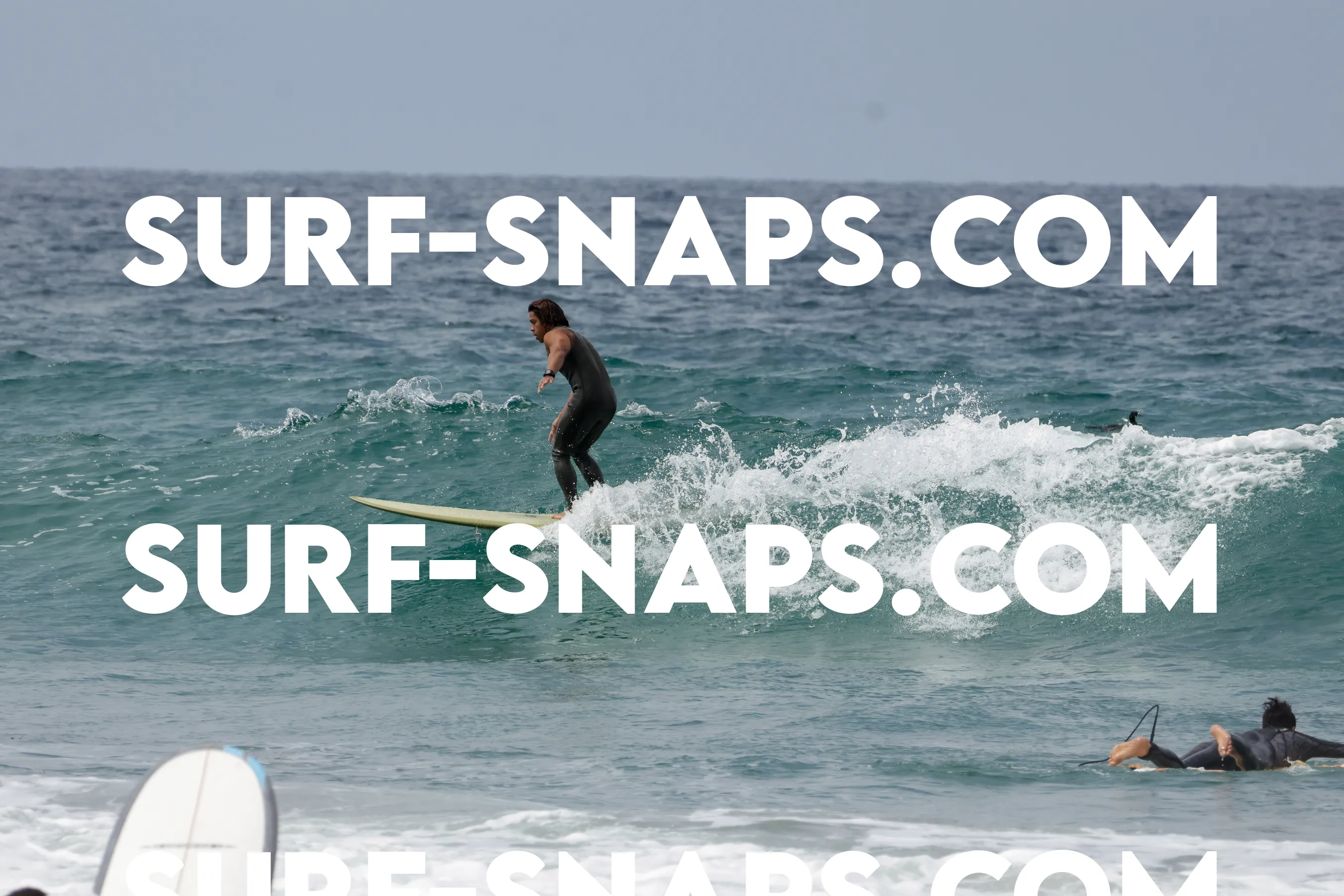 tourmaline Surf park photo 427