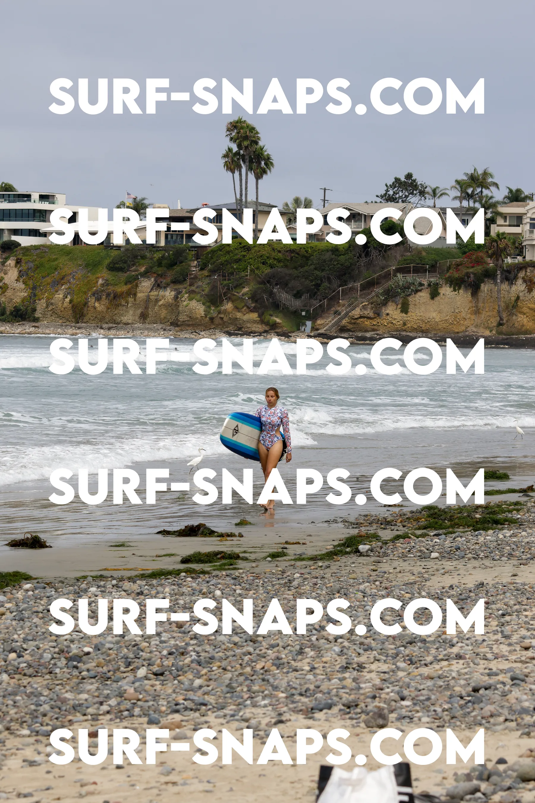 tourmaline Surf park photo 493
