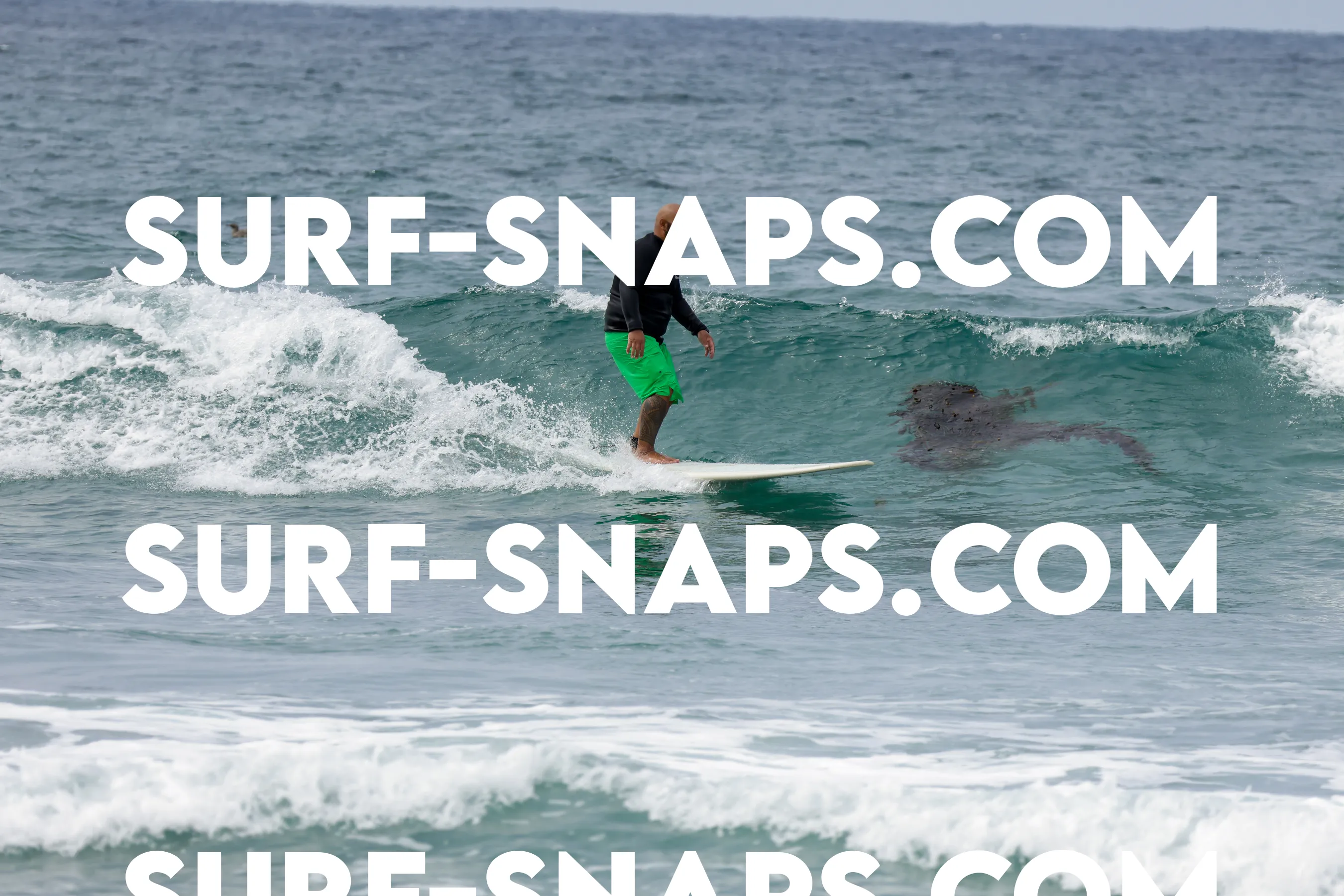 tourmaline Surf park photo 44
