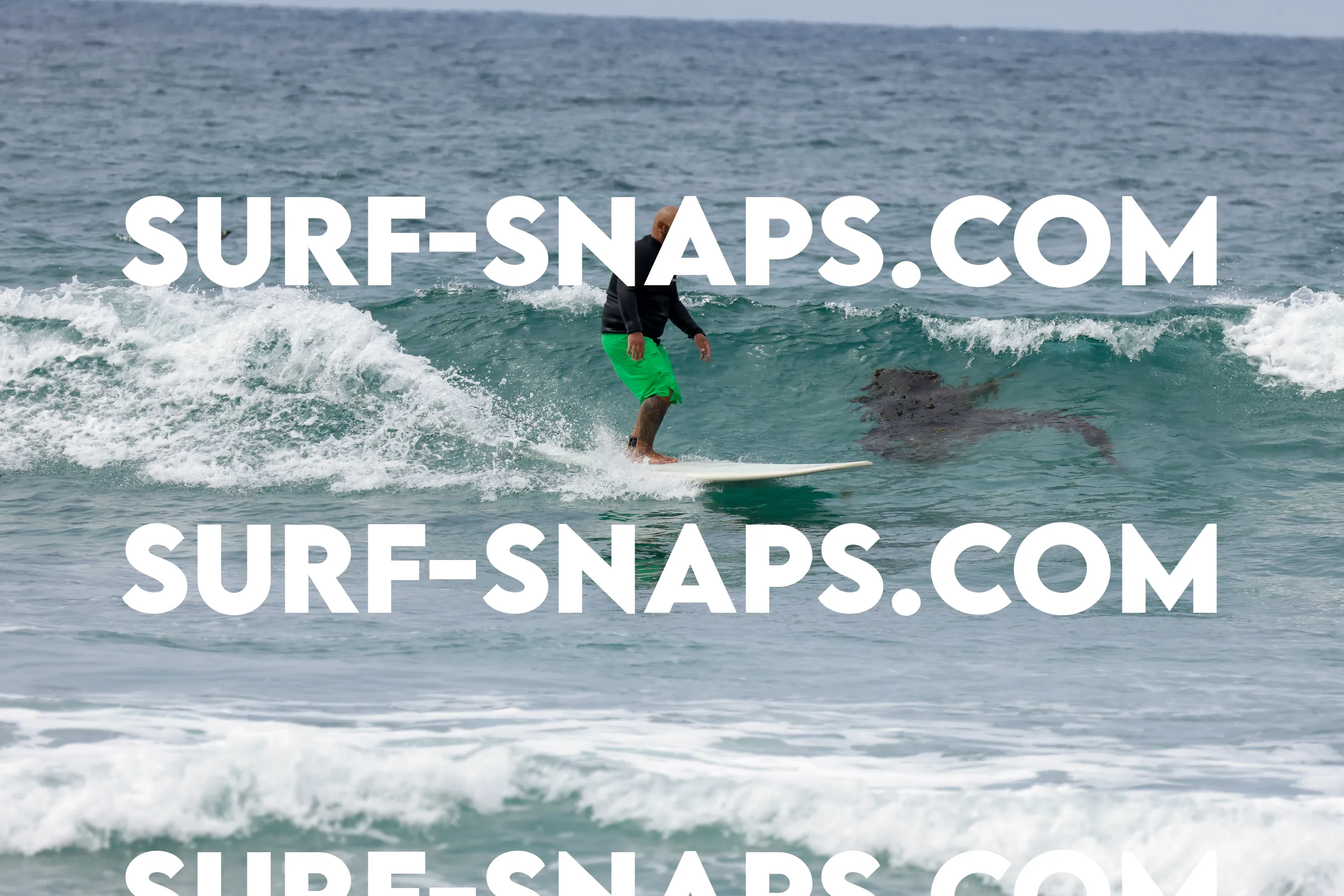 tourmaline Surf park photo 46