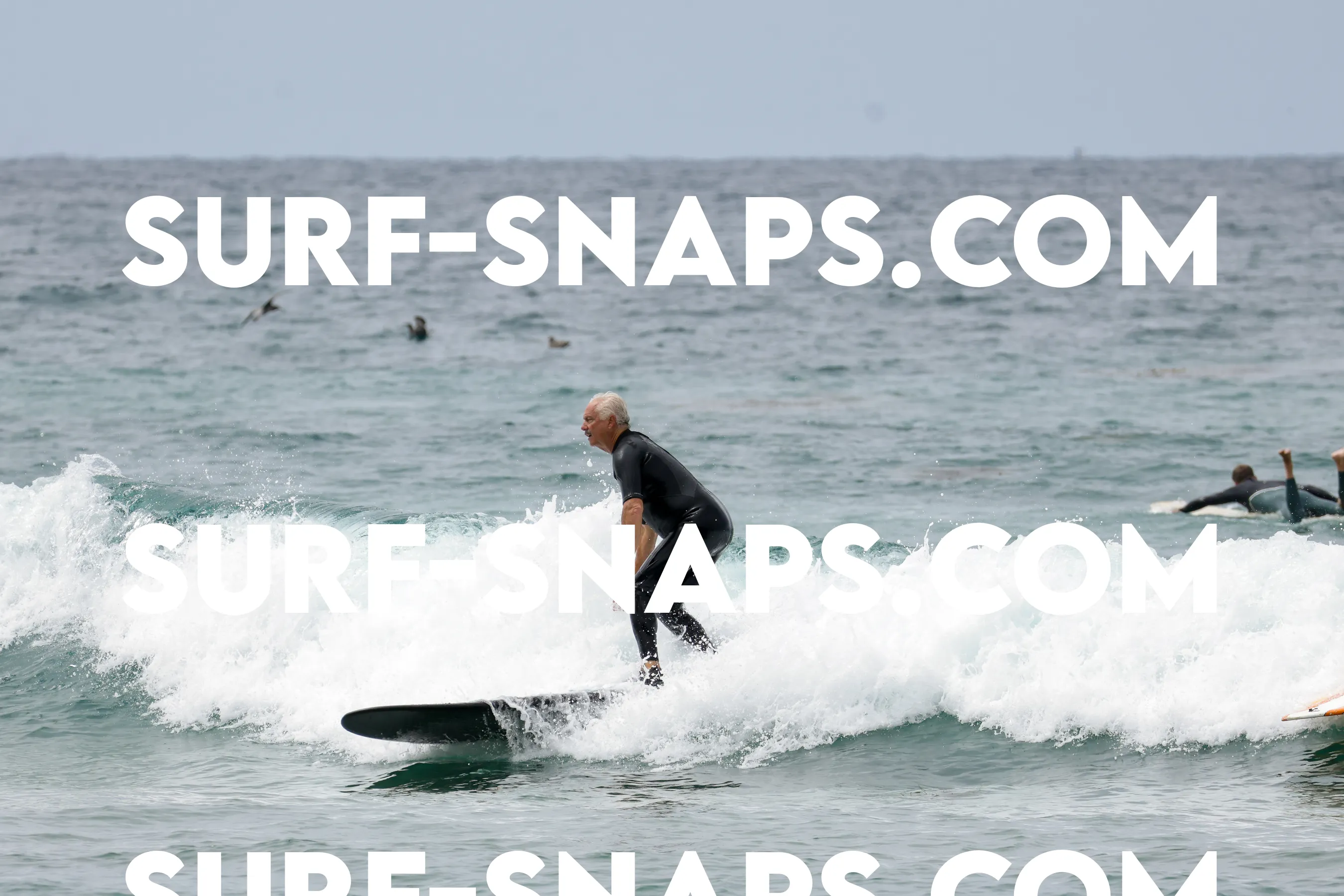 tourmaline Surf park photo 96