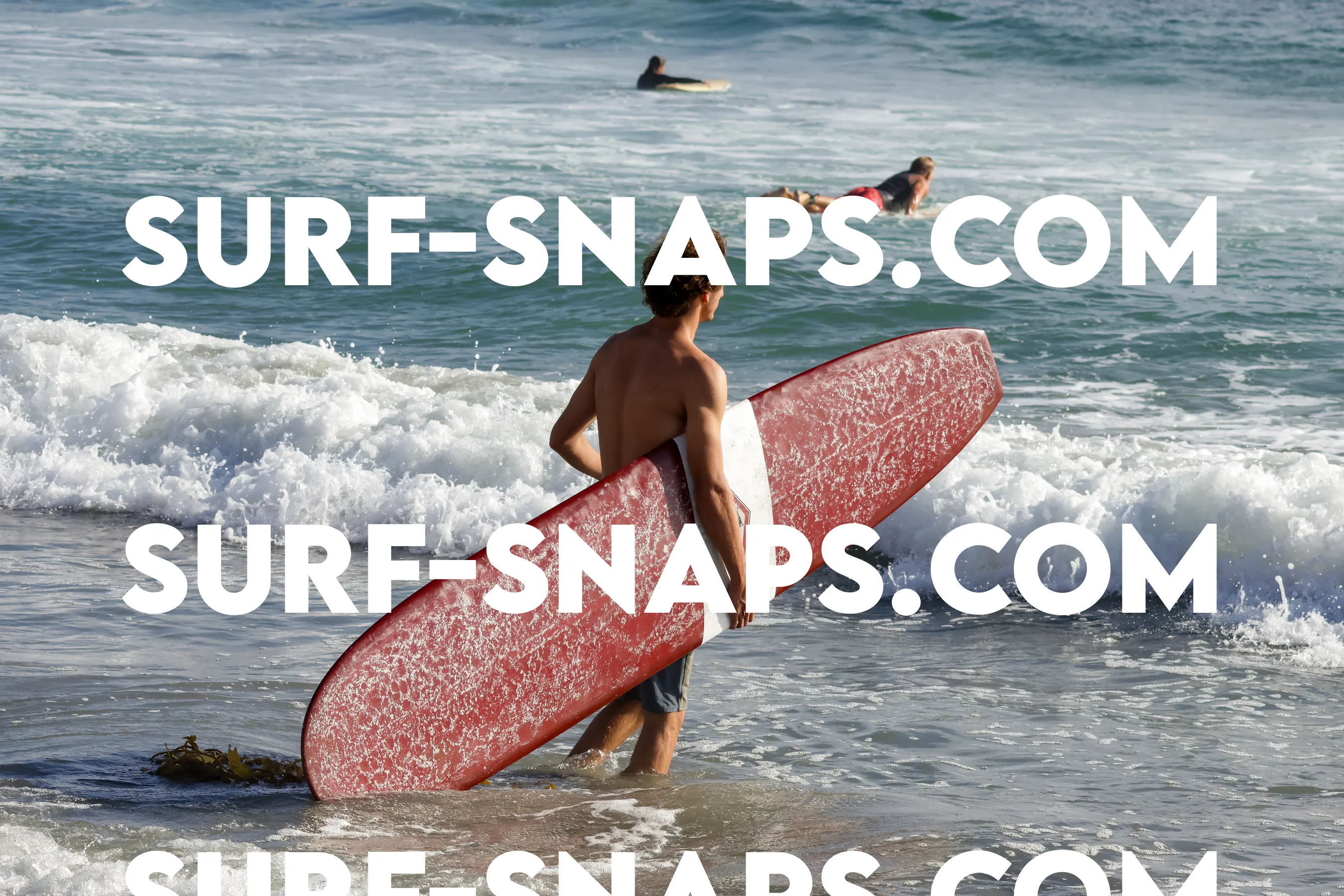 tourmaline surf park photo 257