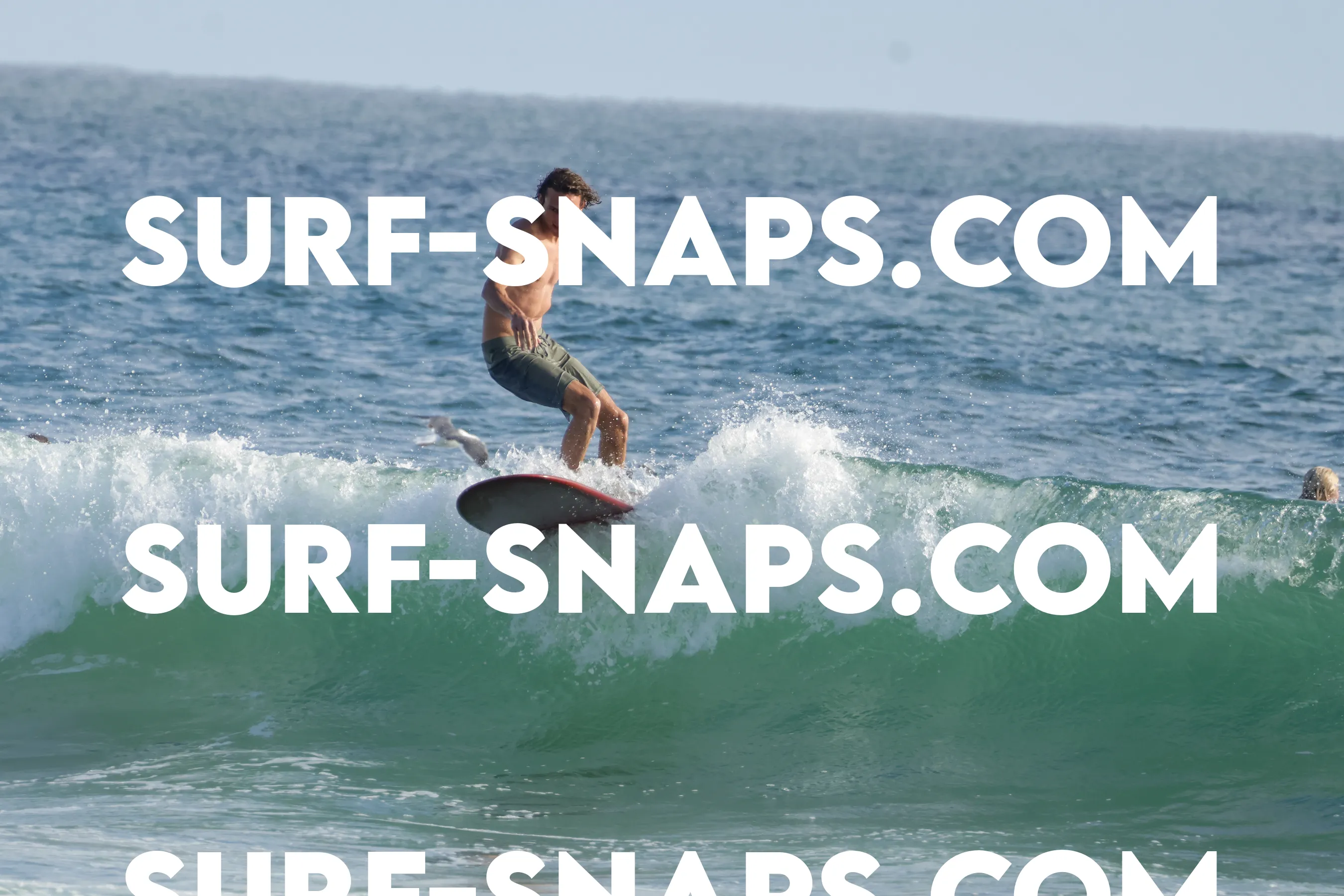 tourmaline surf park photo 117