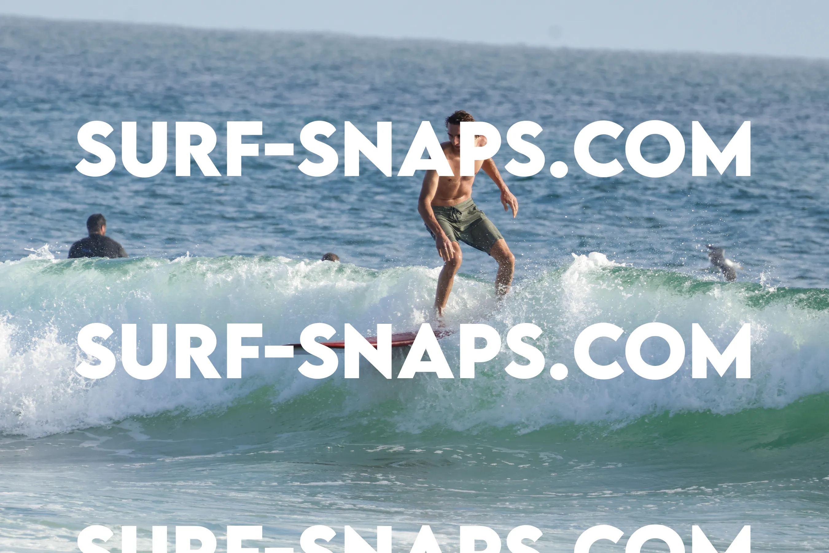 tourmaline surf park photo 121