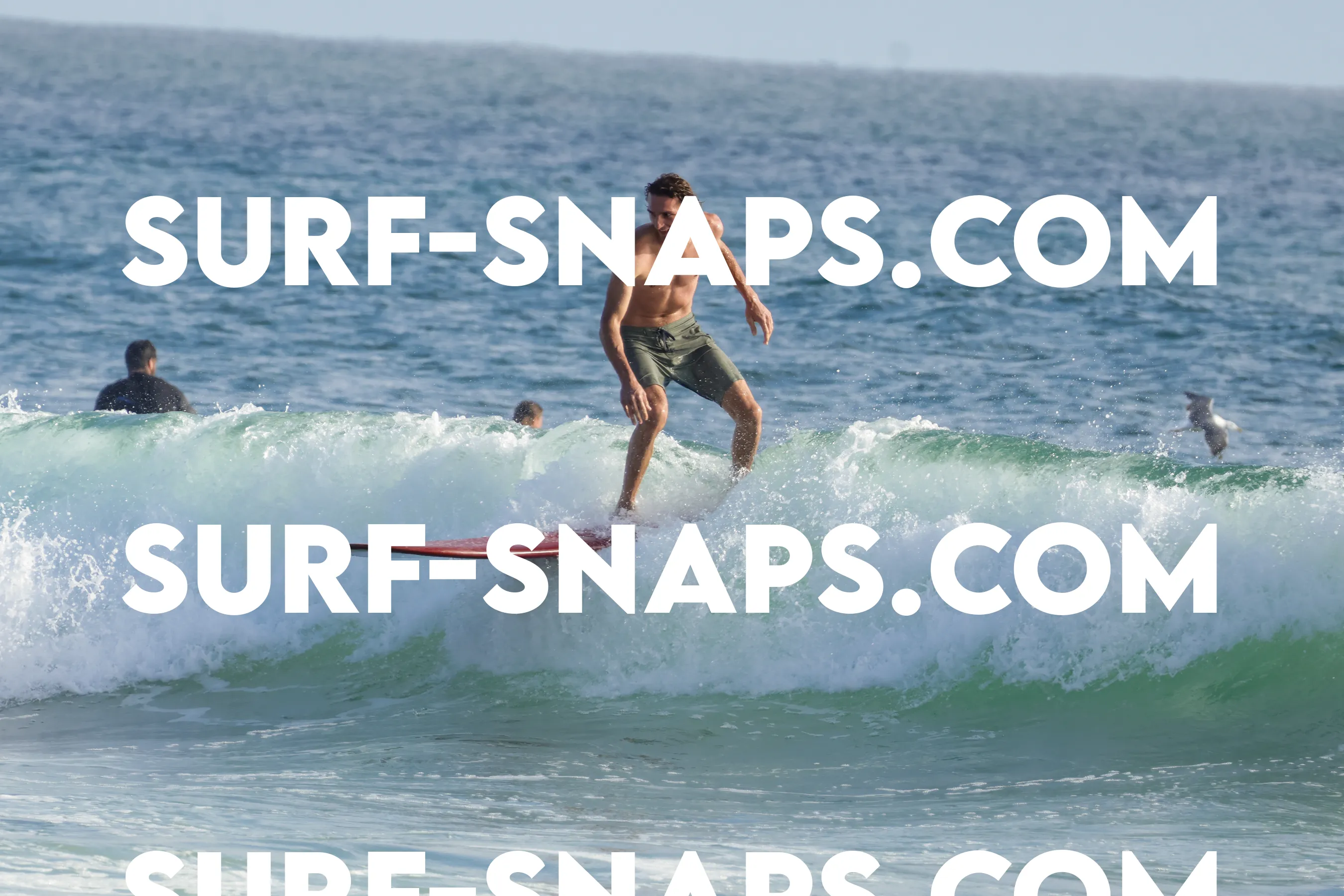 tourmaline surf park photo 132