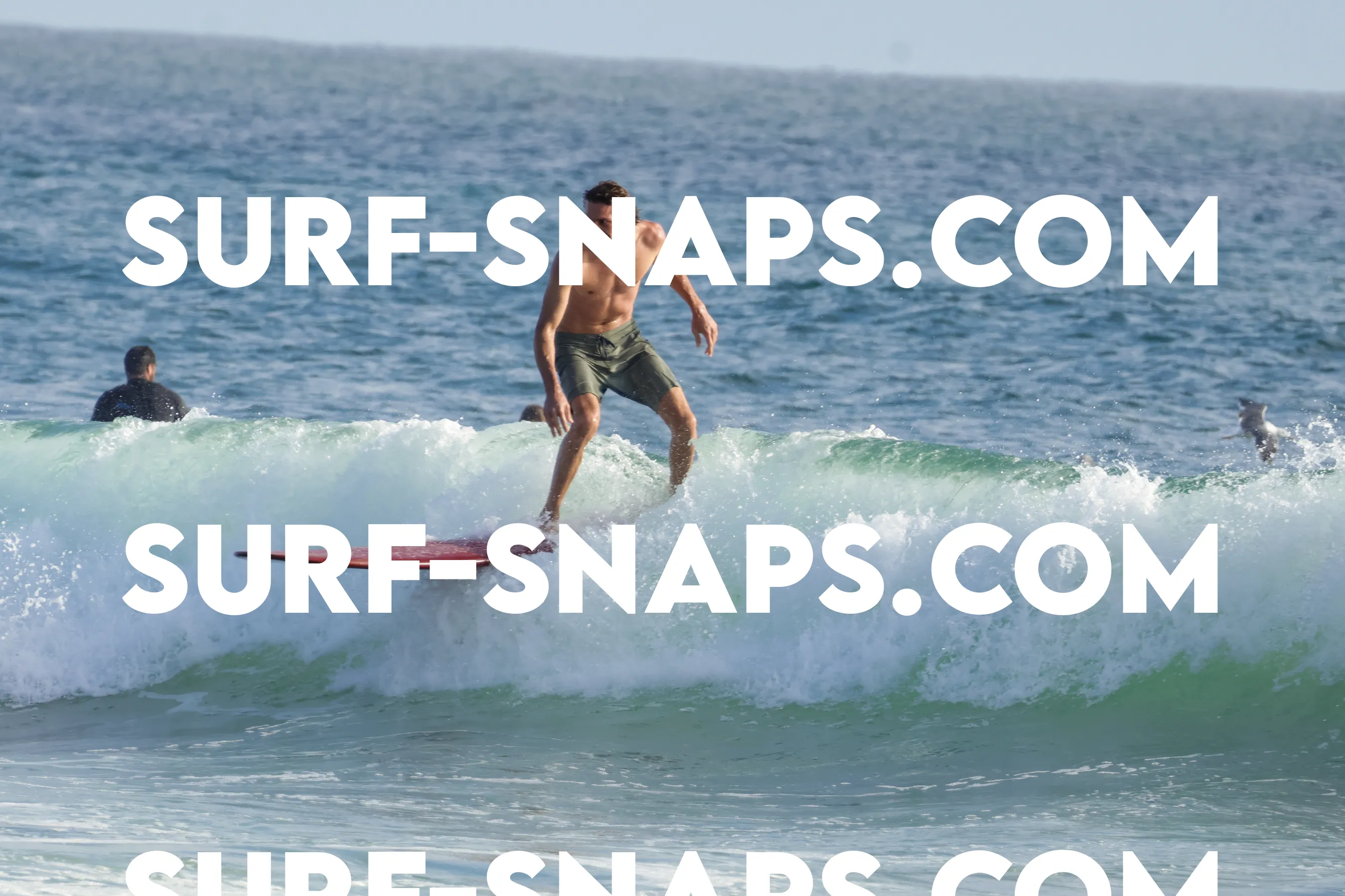 tourmaline surf park photo 140