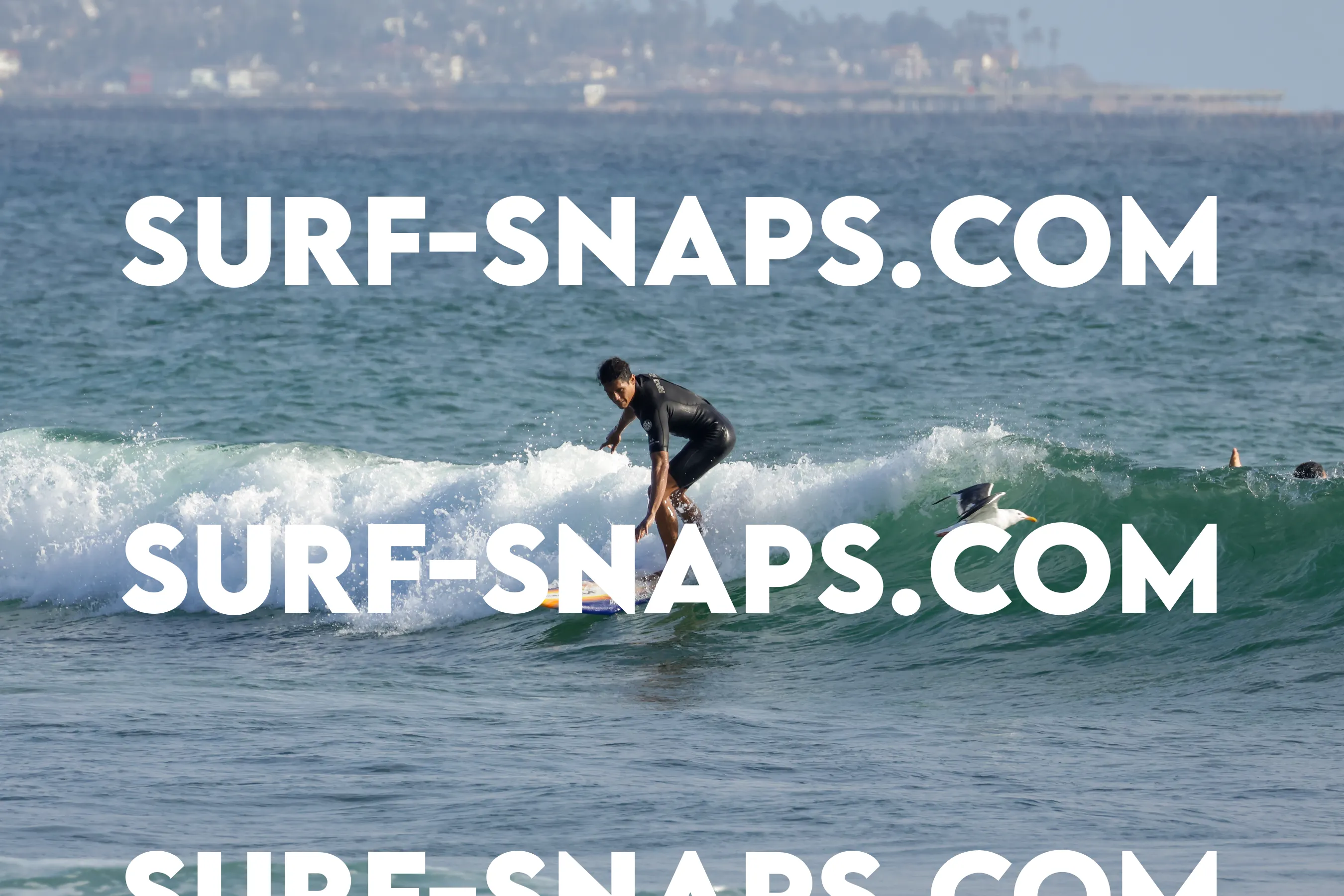 tourmaline surf park photo 178