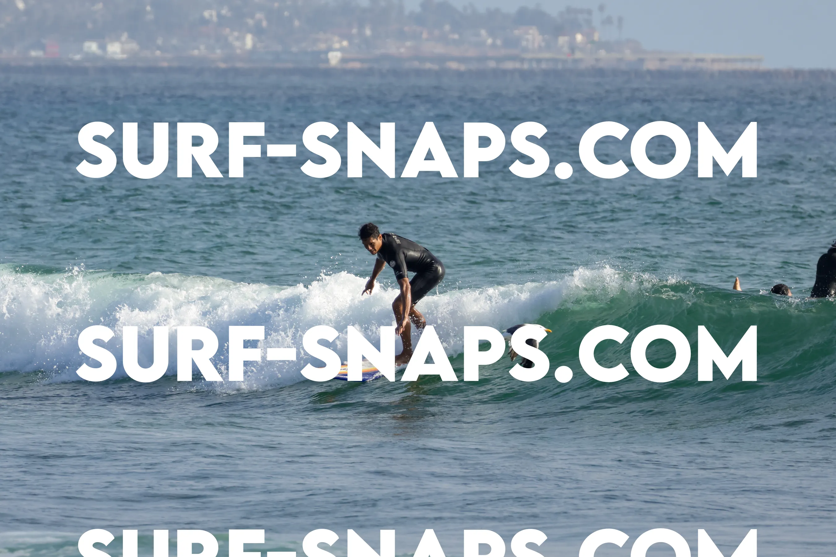 tourmaline surf park photo 165