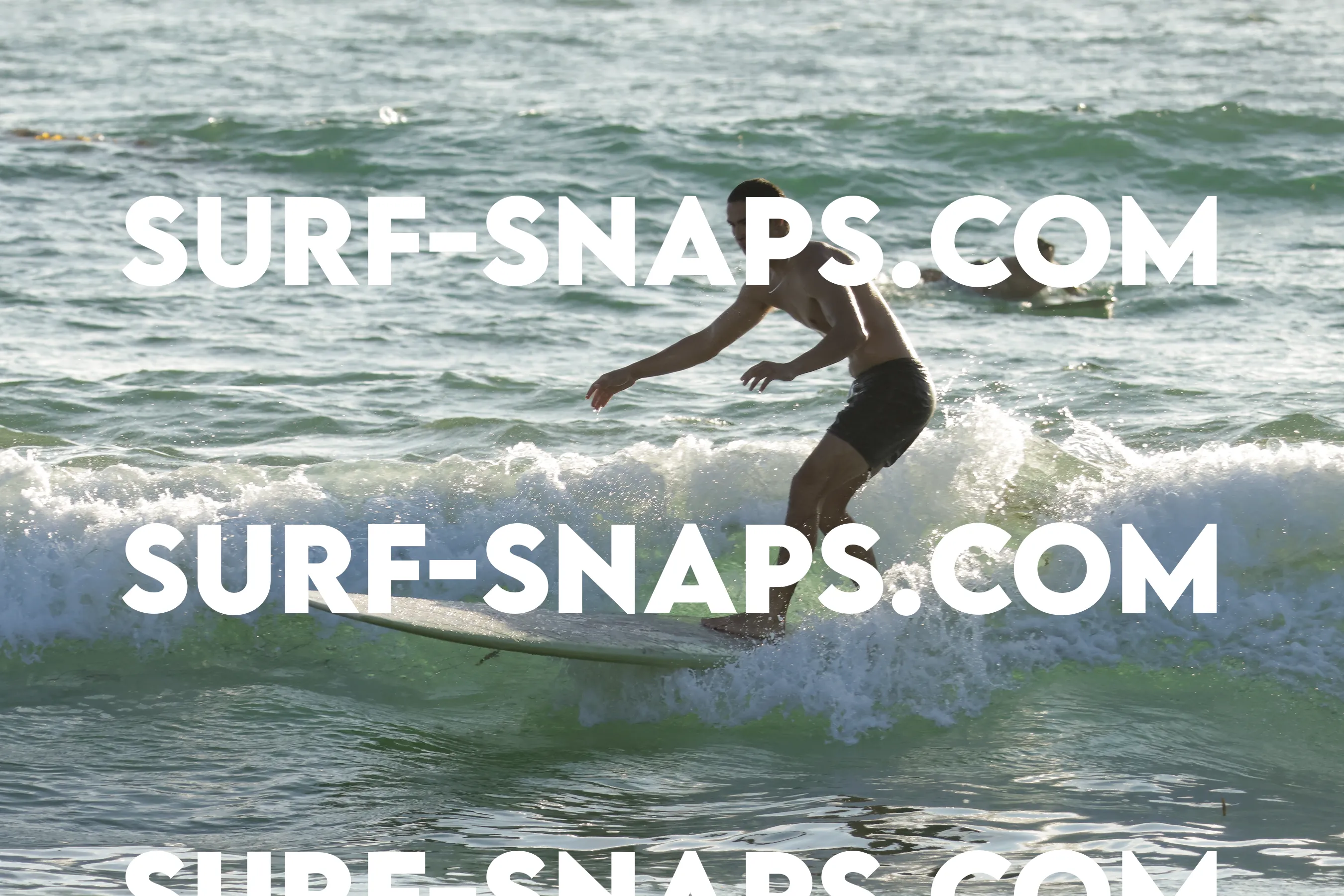 tourmaline surf park photo 120
