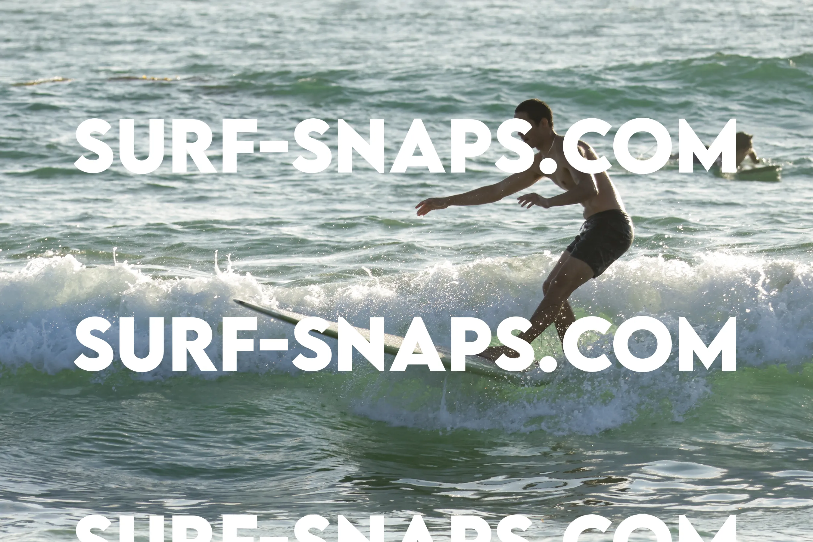 tourmaline surf park photo 104