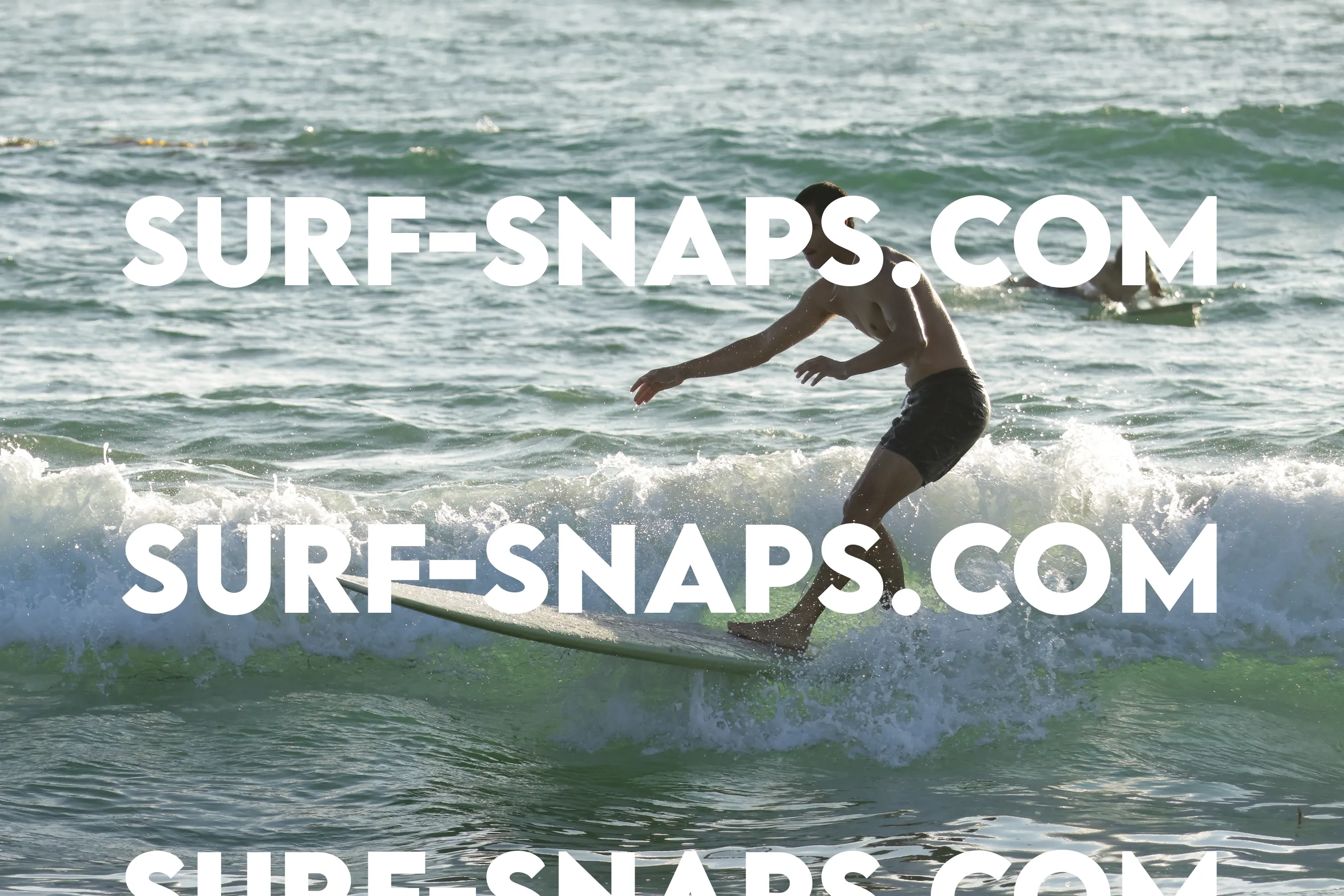 tourmaline surf park photo 106