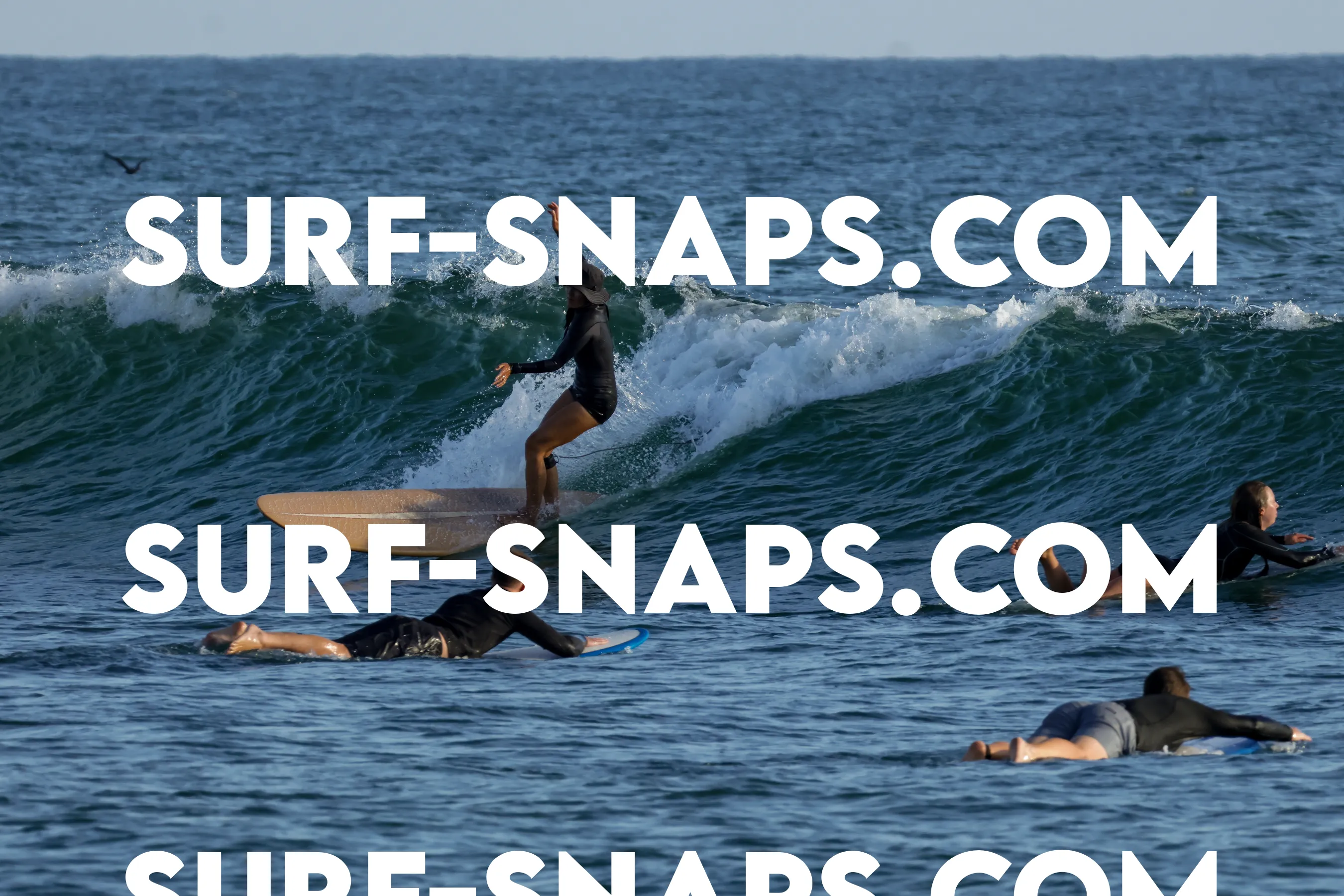 tourmaline surf park photo 132