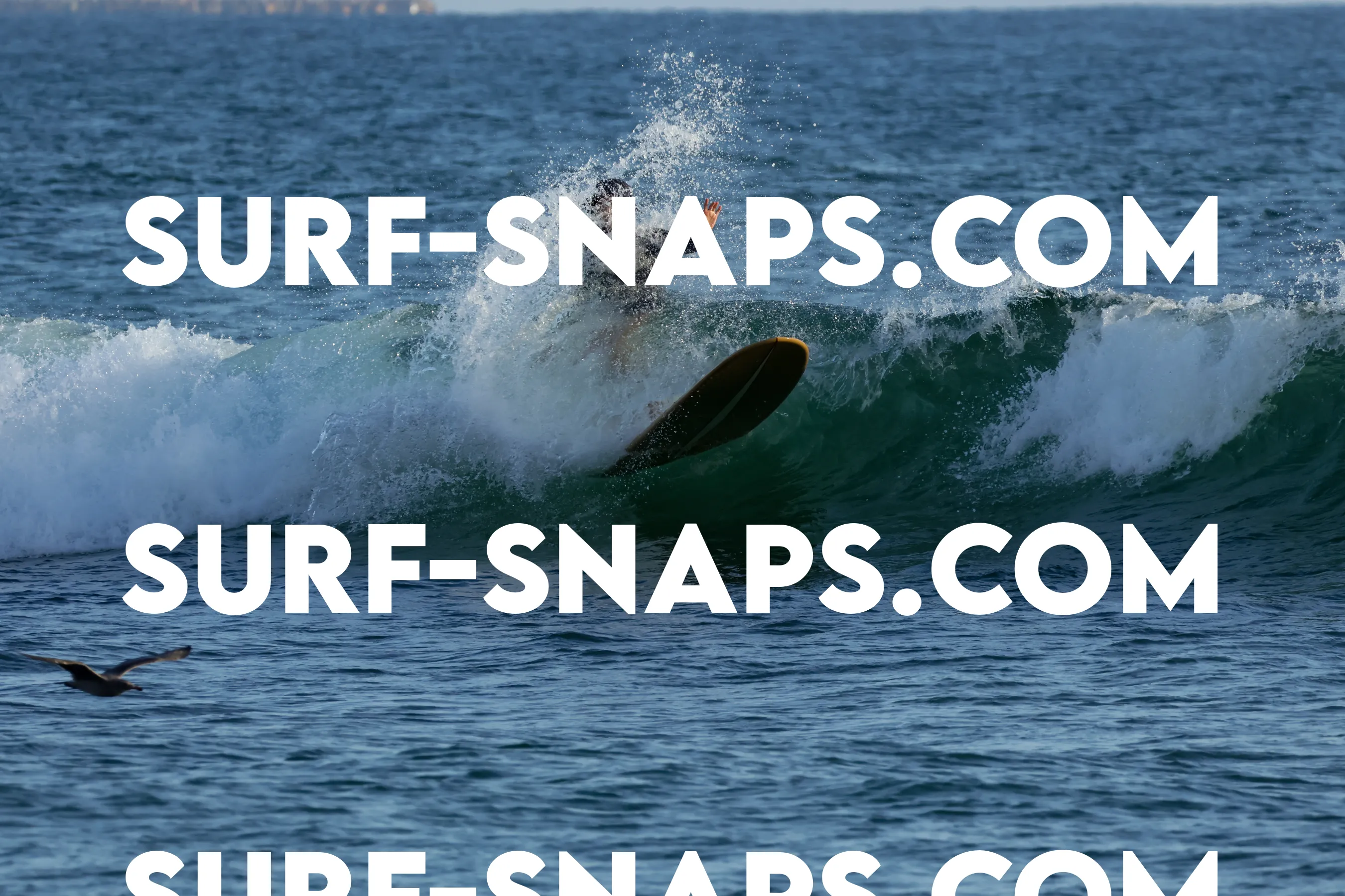 tourmaline surf park photo 155