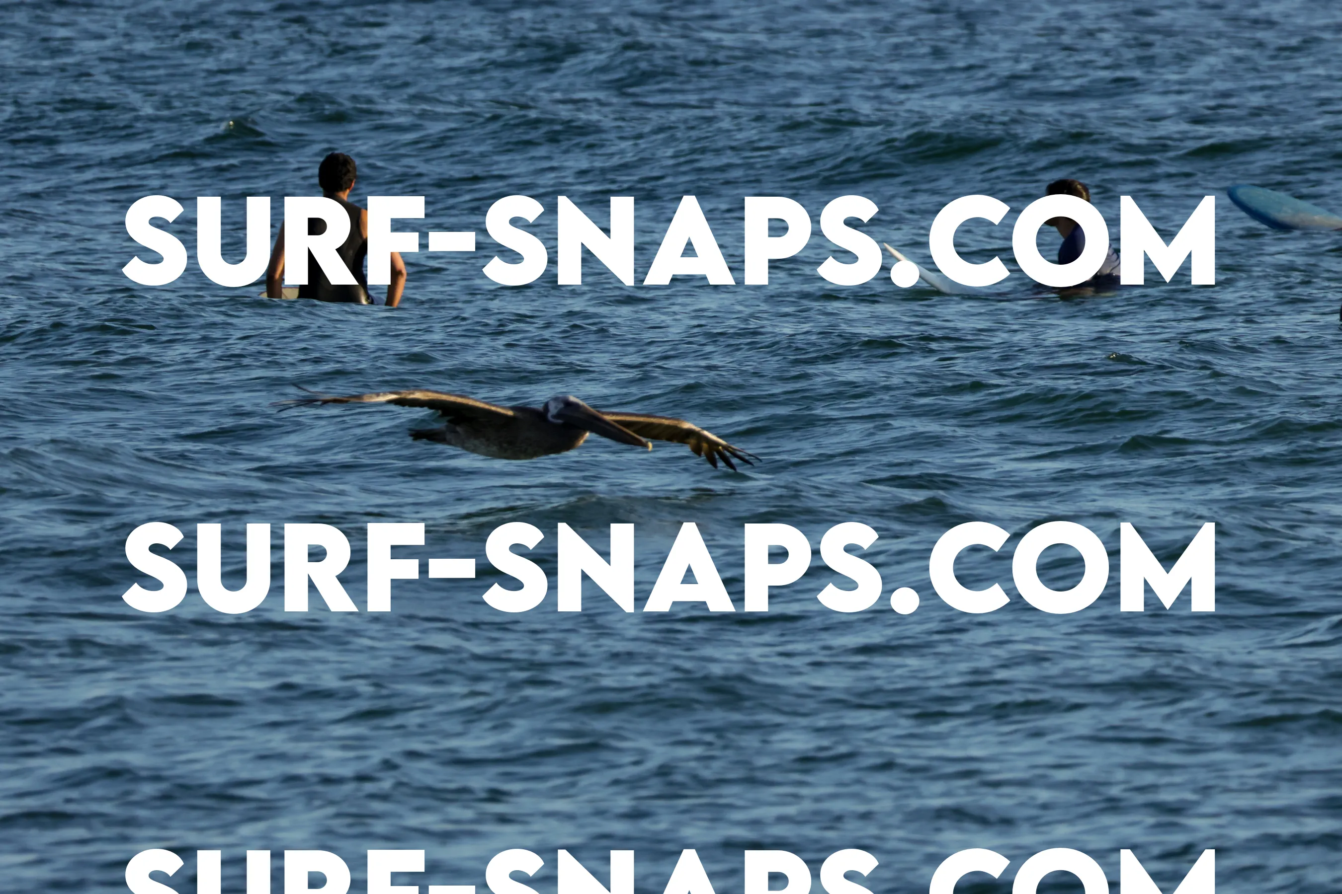 tourmaline surf park photo 348