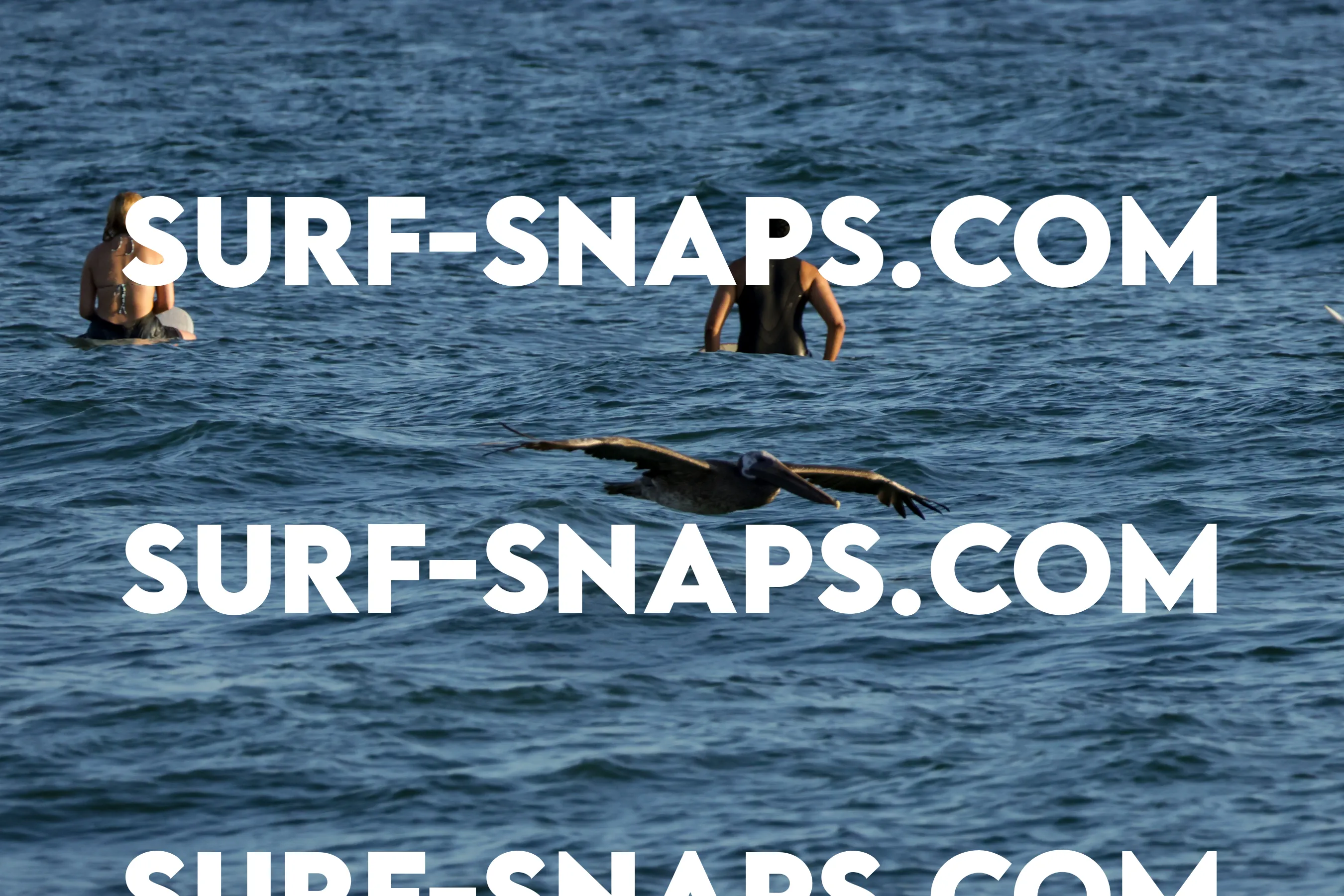 tourmaline surf park photo 330