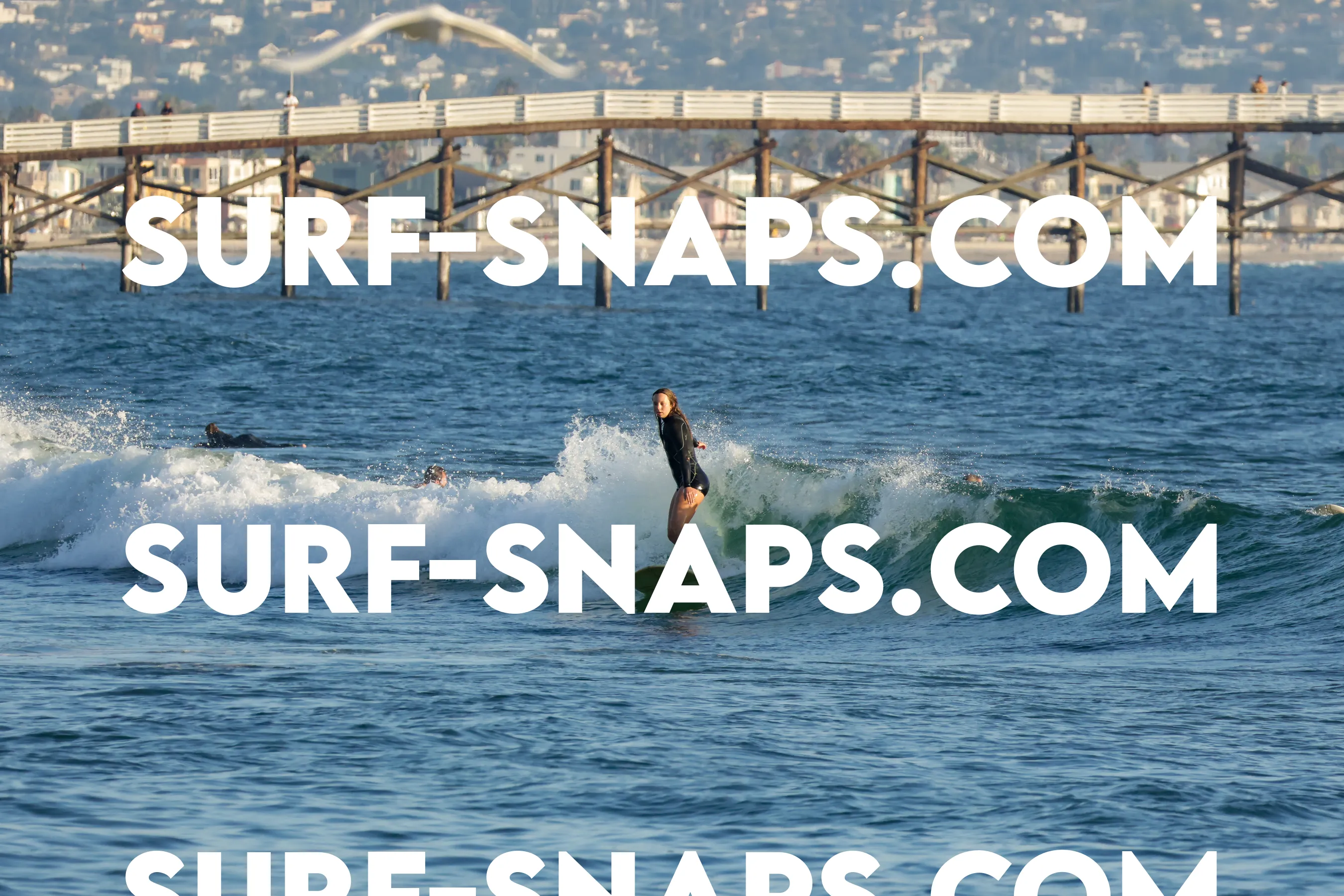 tourmaline surf park photo 383