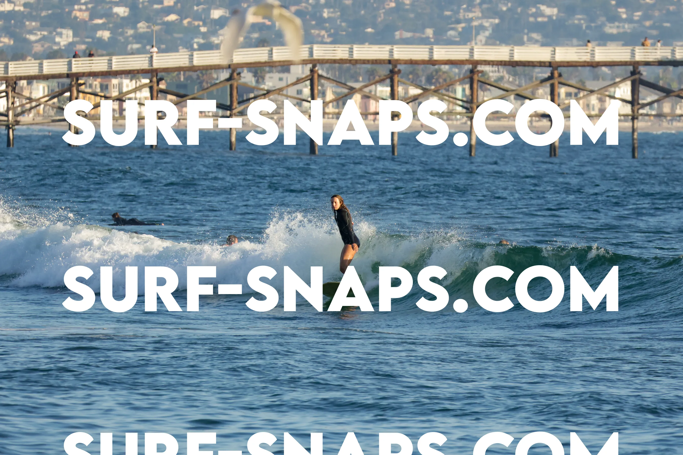 tourmaline surf park photo 388