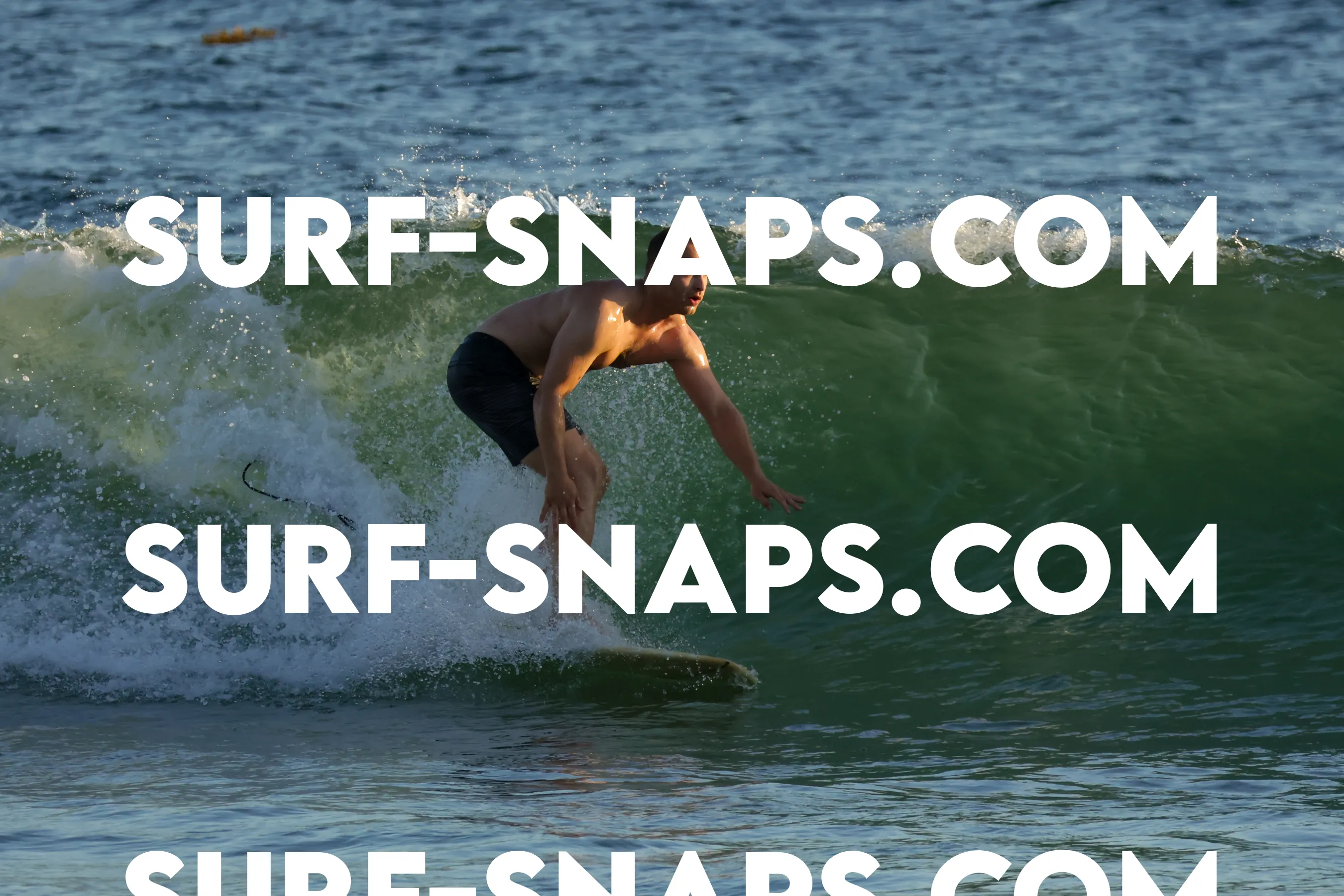 tourmaline surf park photo 13