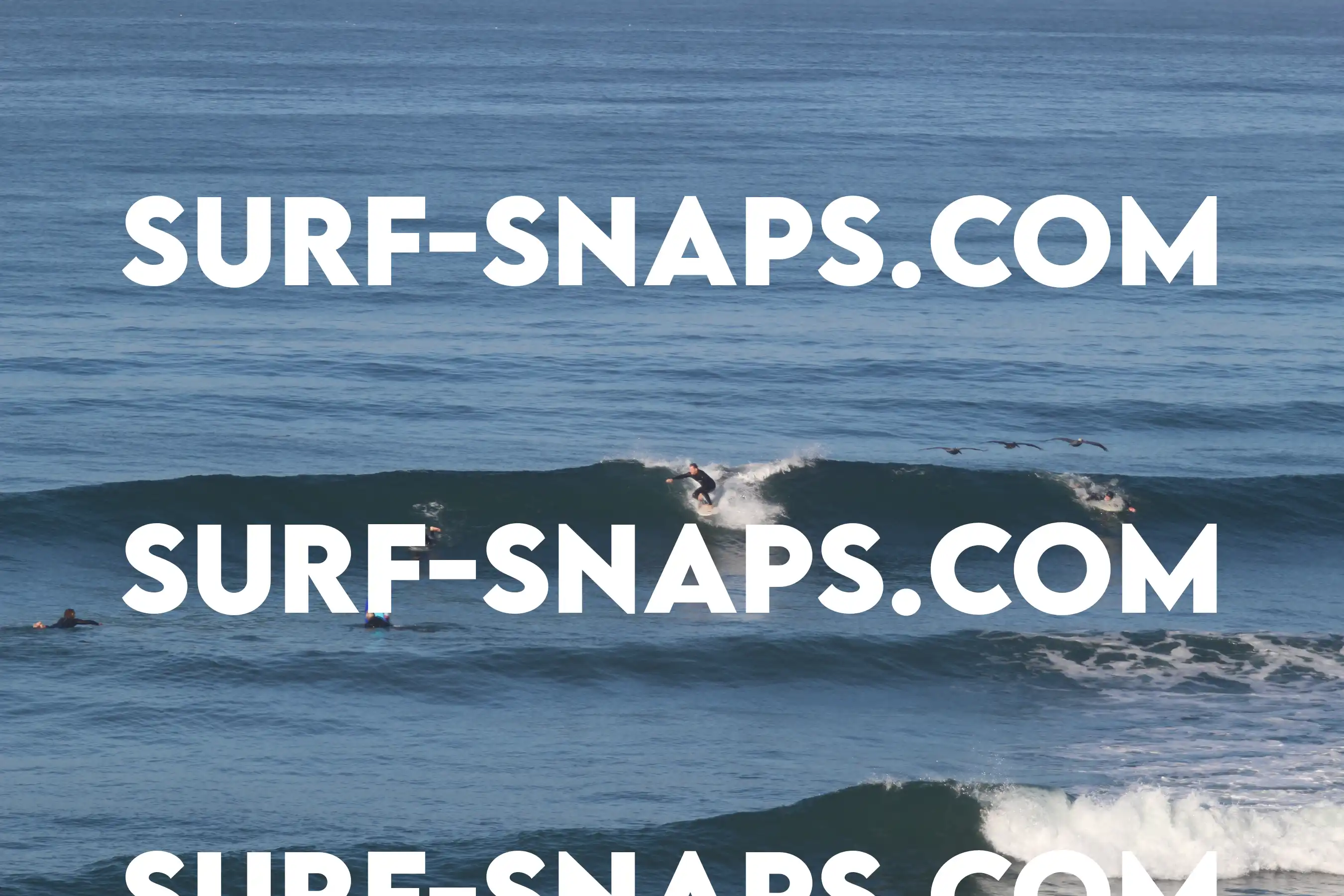 San Elijo State Beach - Se-070 photo 15