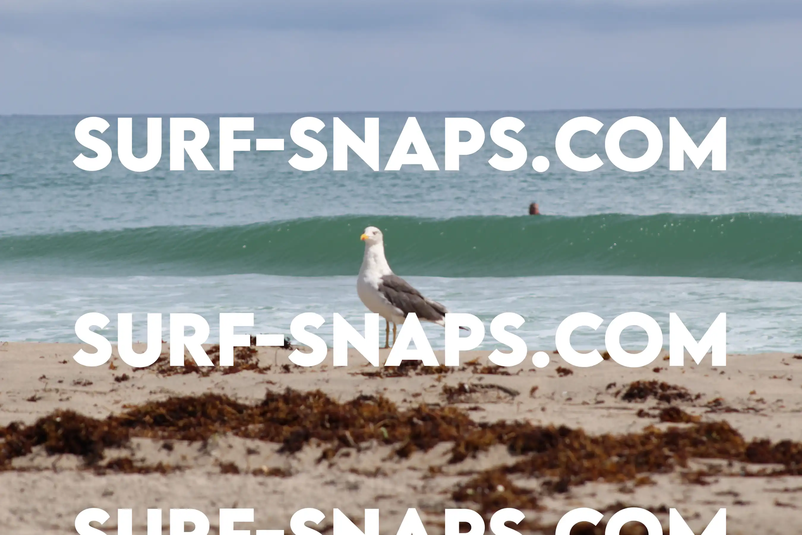 Boca Inlet photo 11