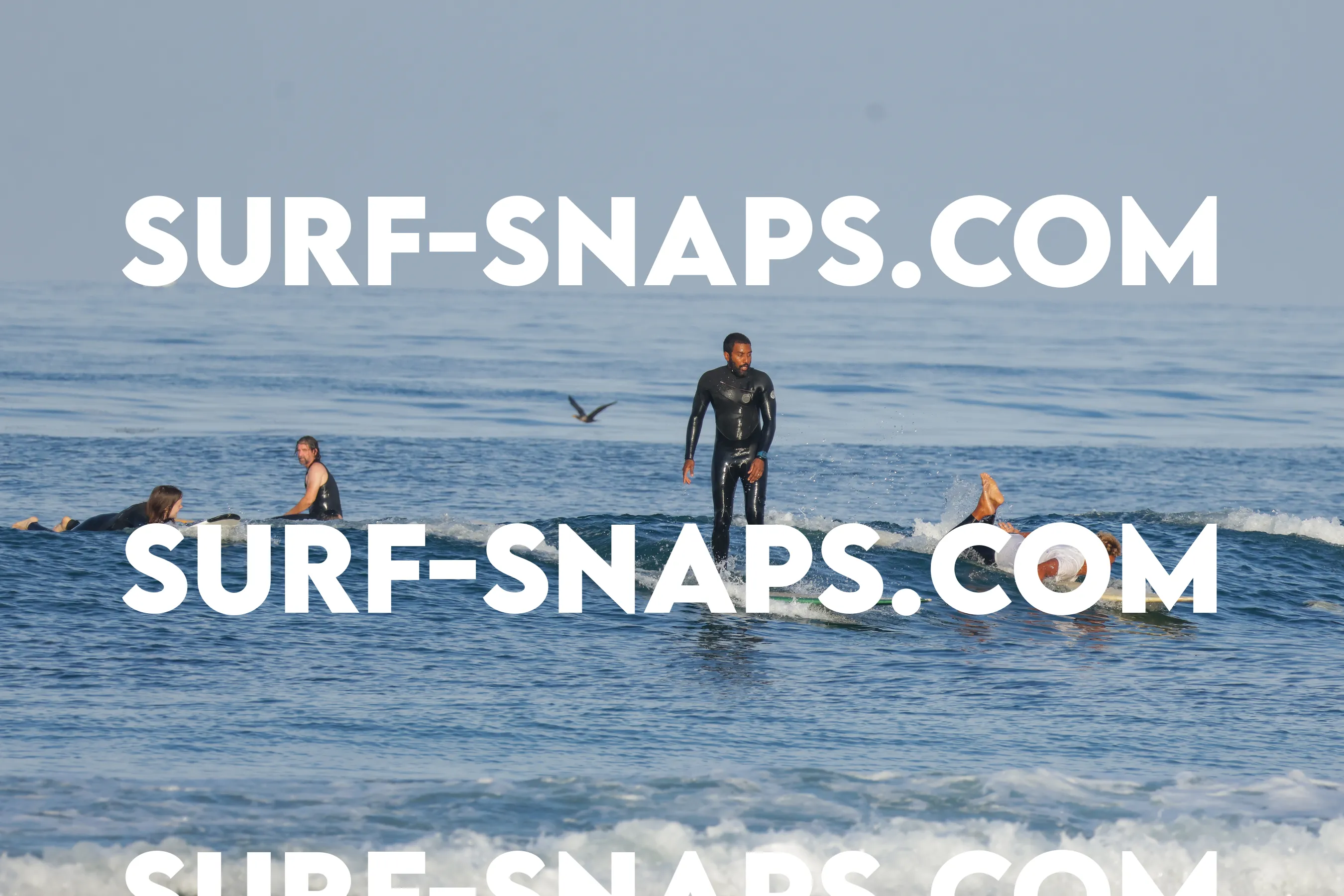Tourmaline Surfing Park photo 38