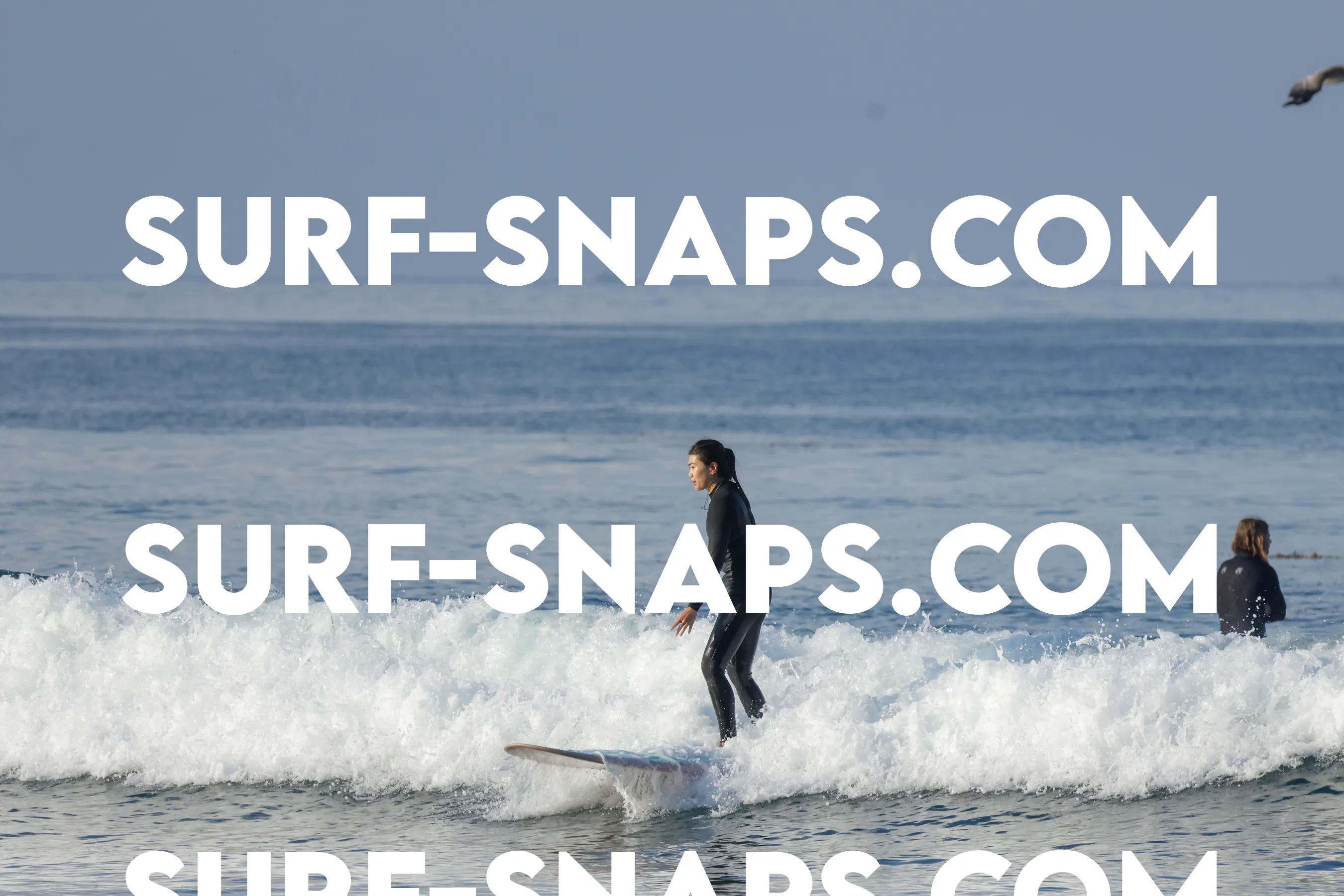 Tourmaline Surfing Park photo 310