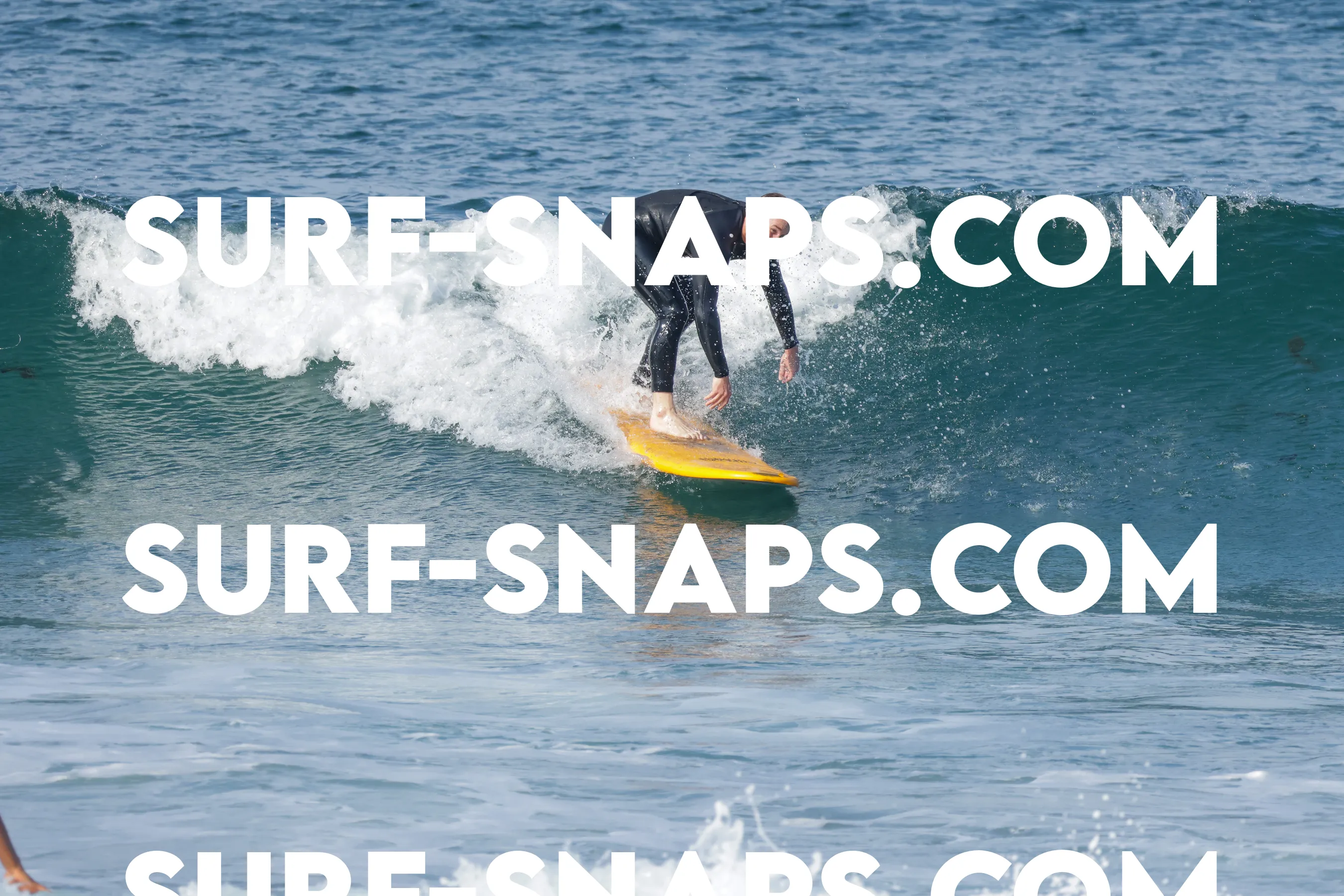 Tourmaline Surfing Park photo 175