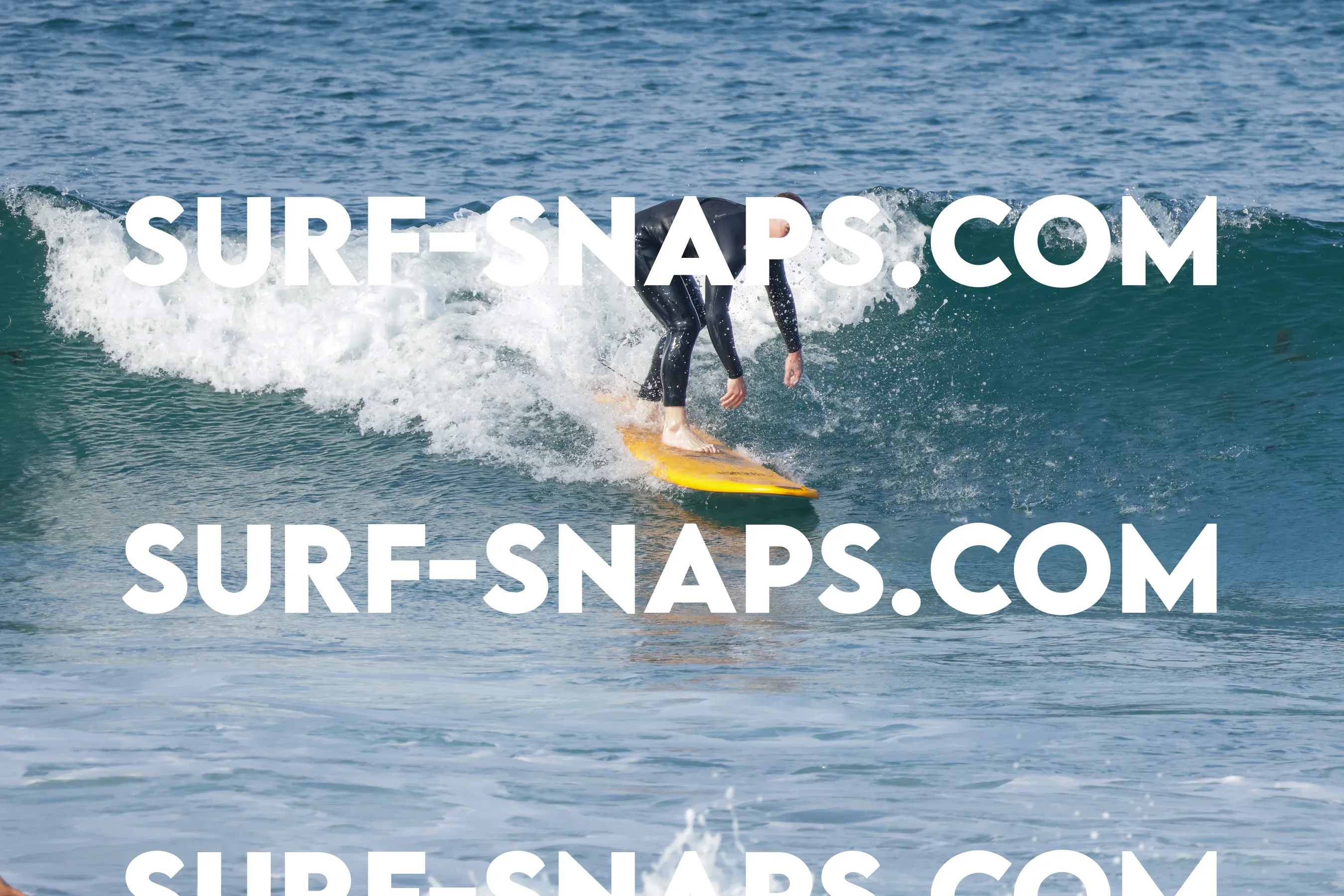 Tourmaline Surfing Park photo 176