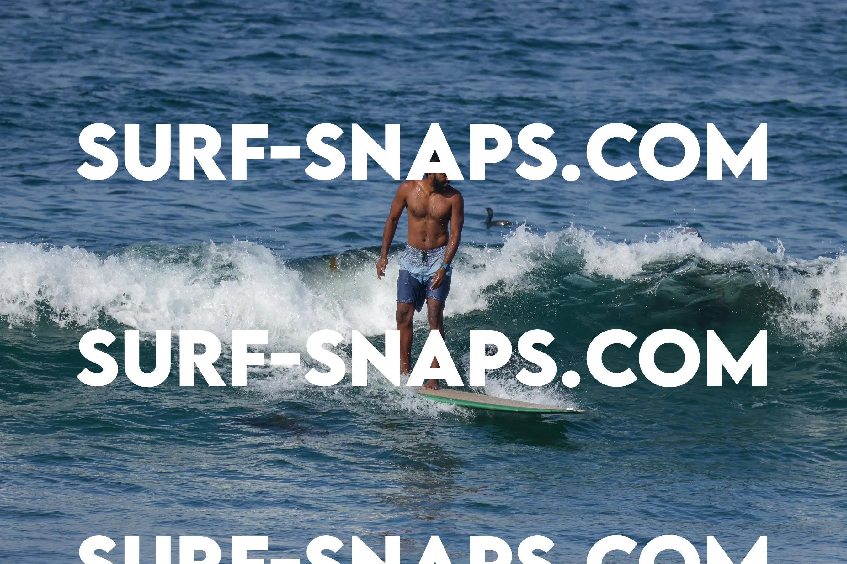 Tourmaline Surfing Park photo 233