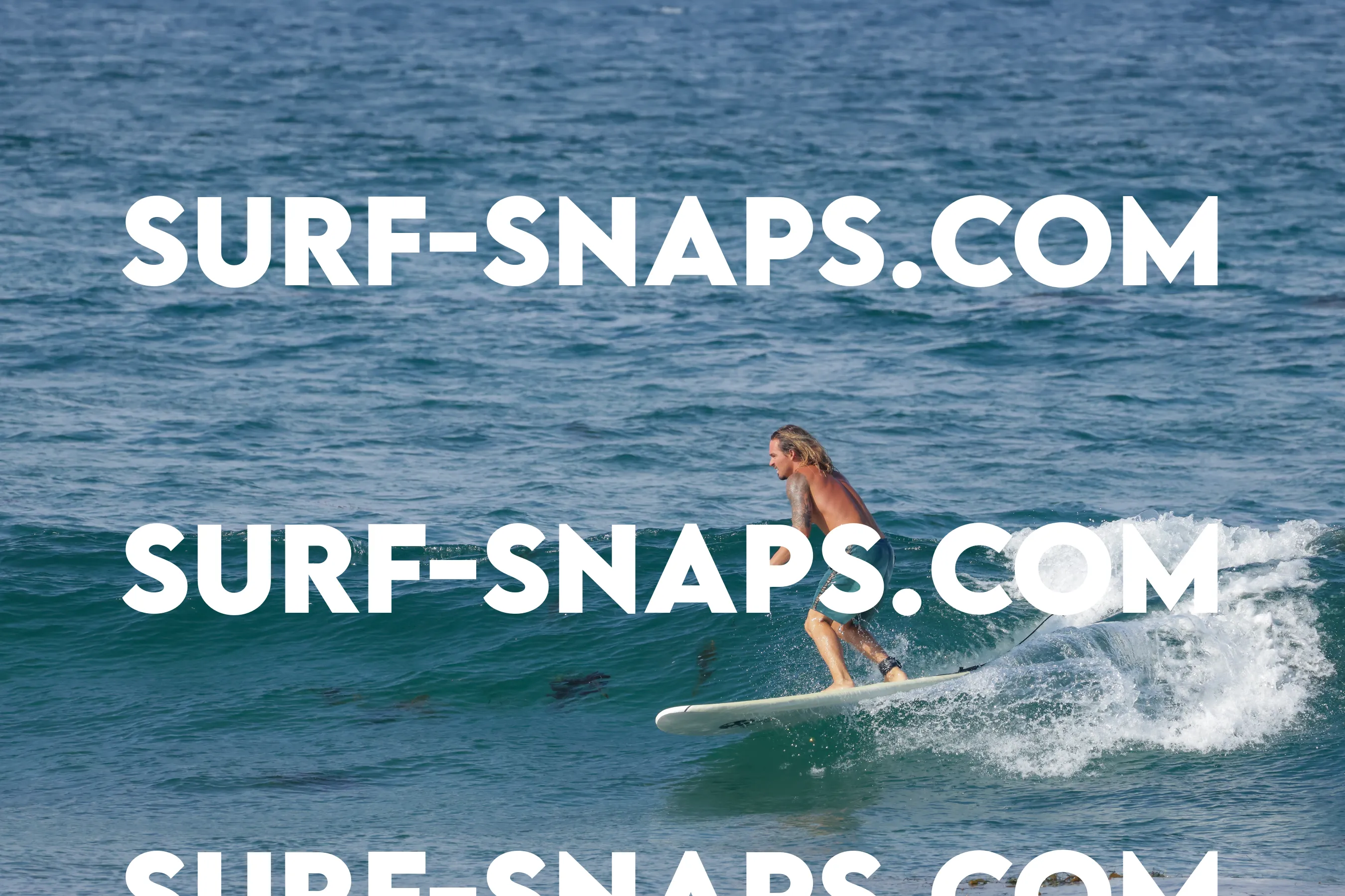 Tourmaline Surfing Park photo 246