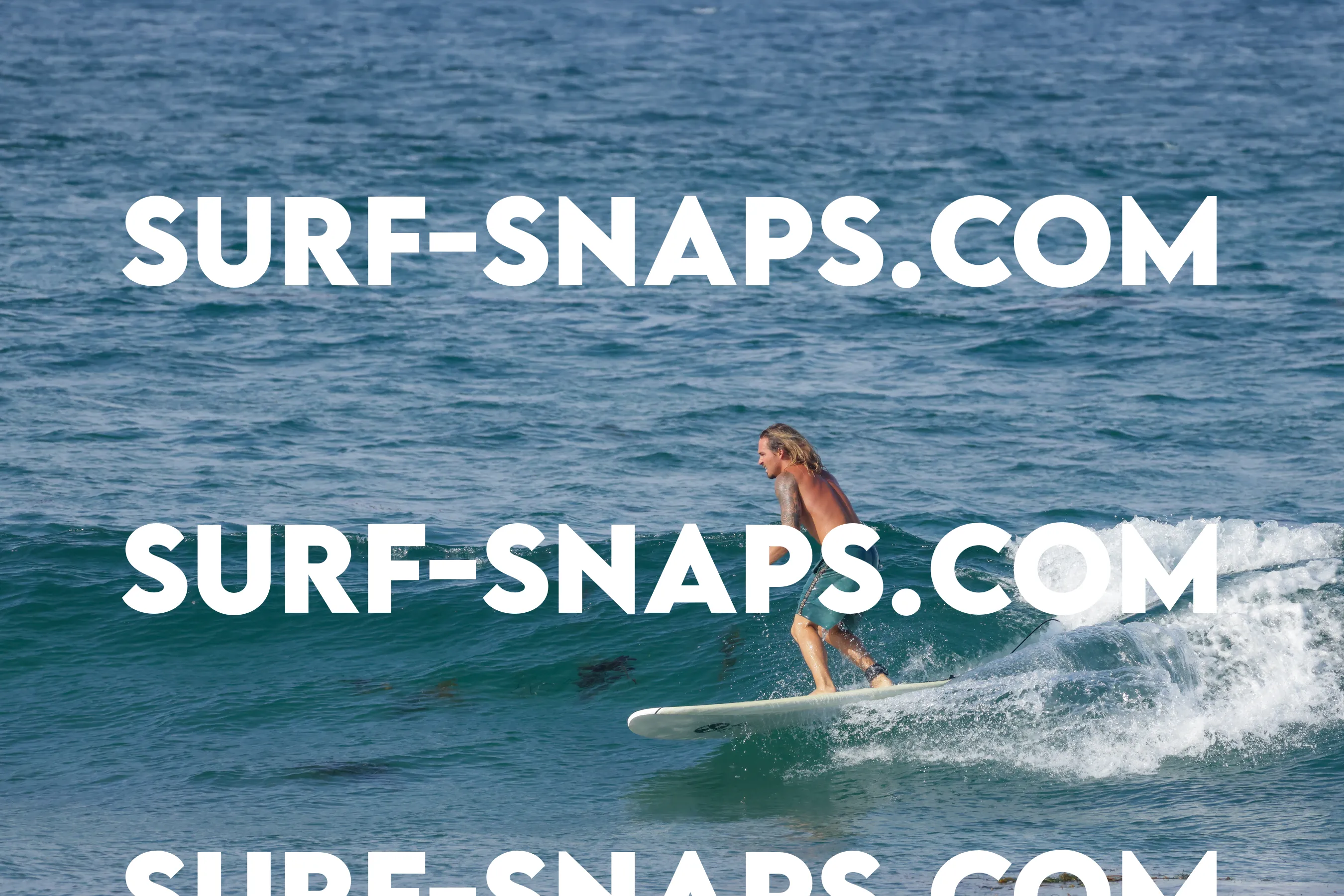 Tourmaline Surfing Park photo 247