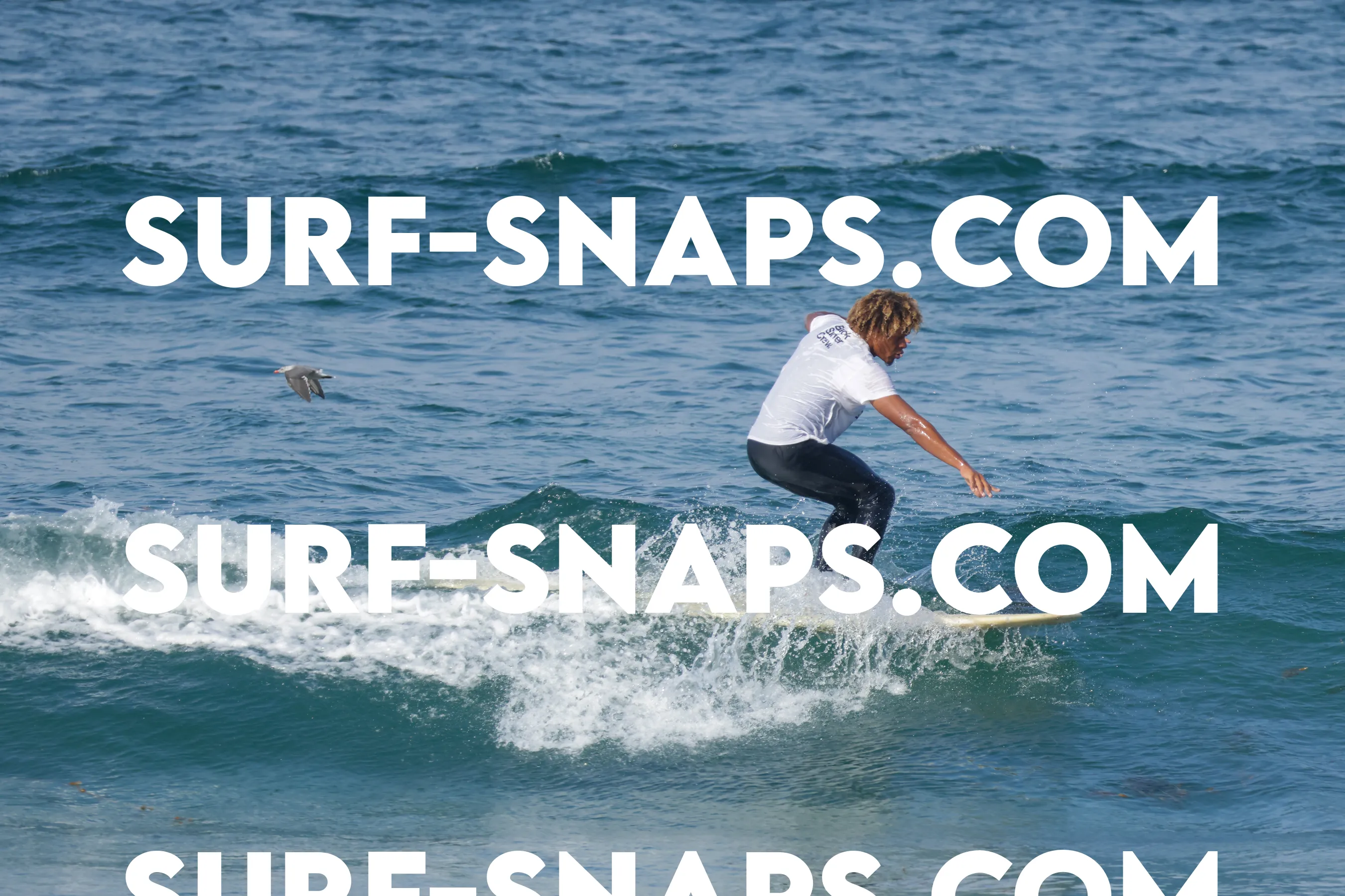 Tourmaline Surfing Park photo 253