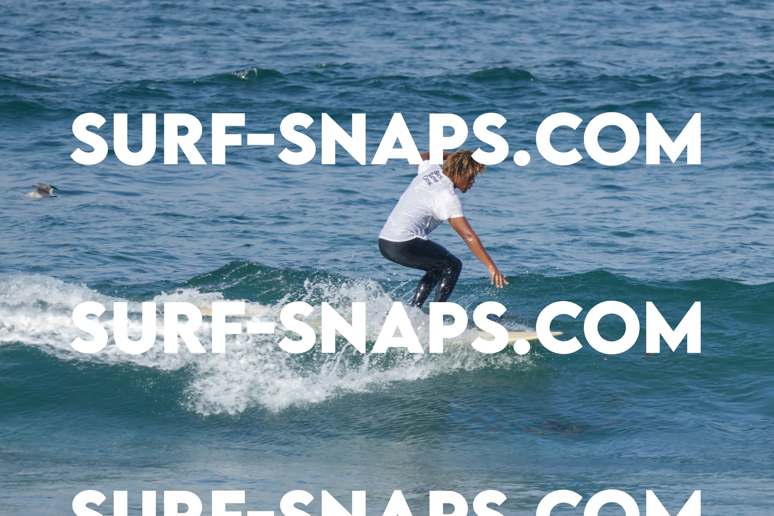 Tourmaline Surfing Park photo 254
