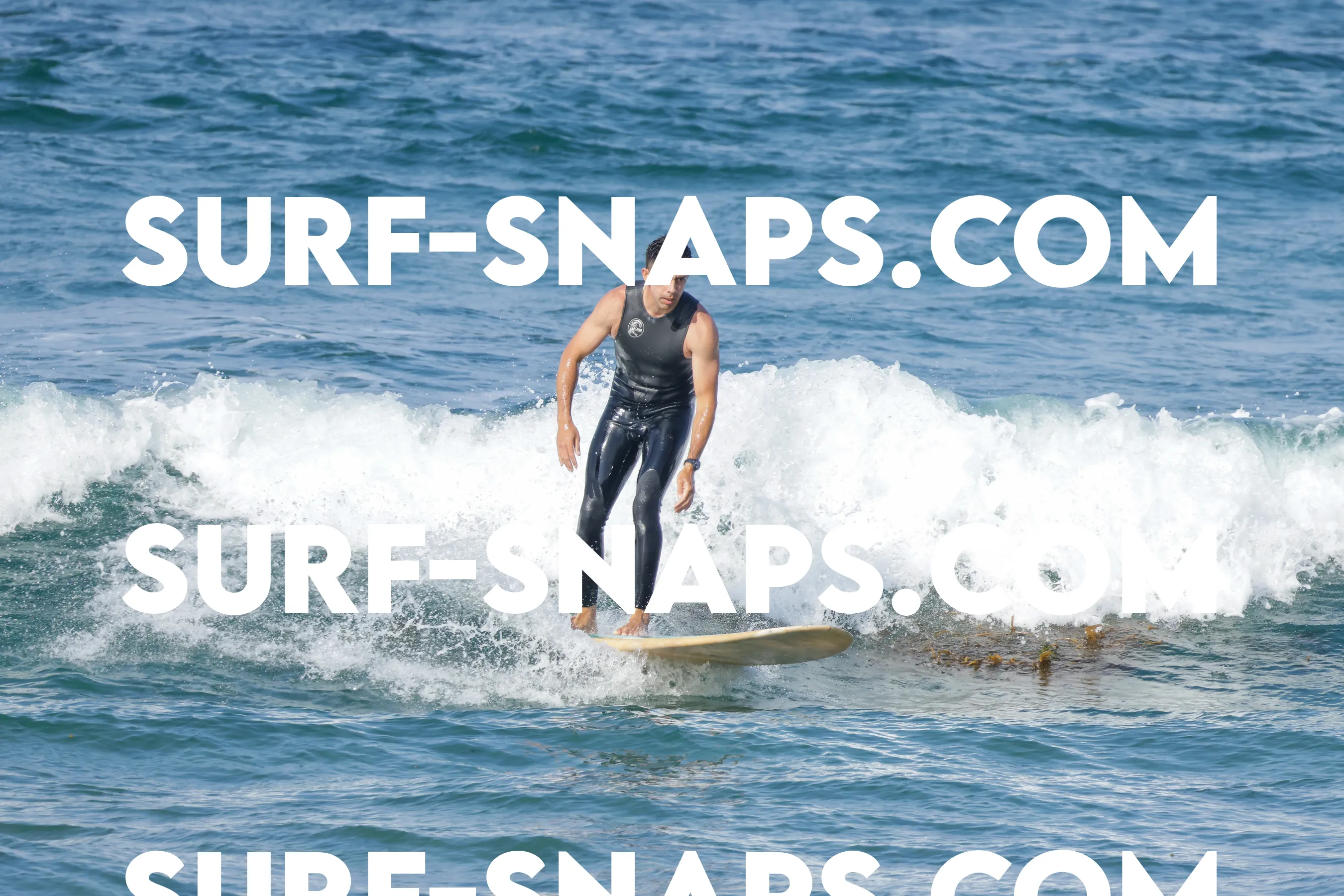 Tourmaline Surfing Park photo 323
