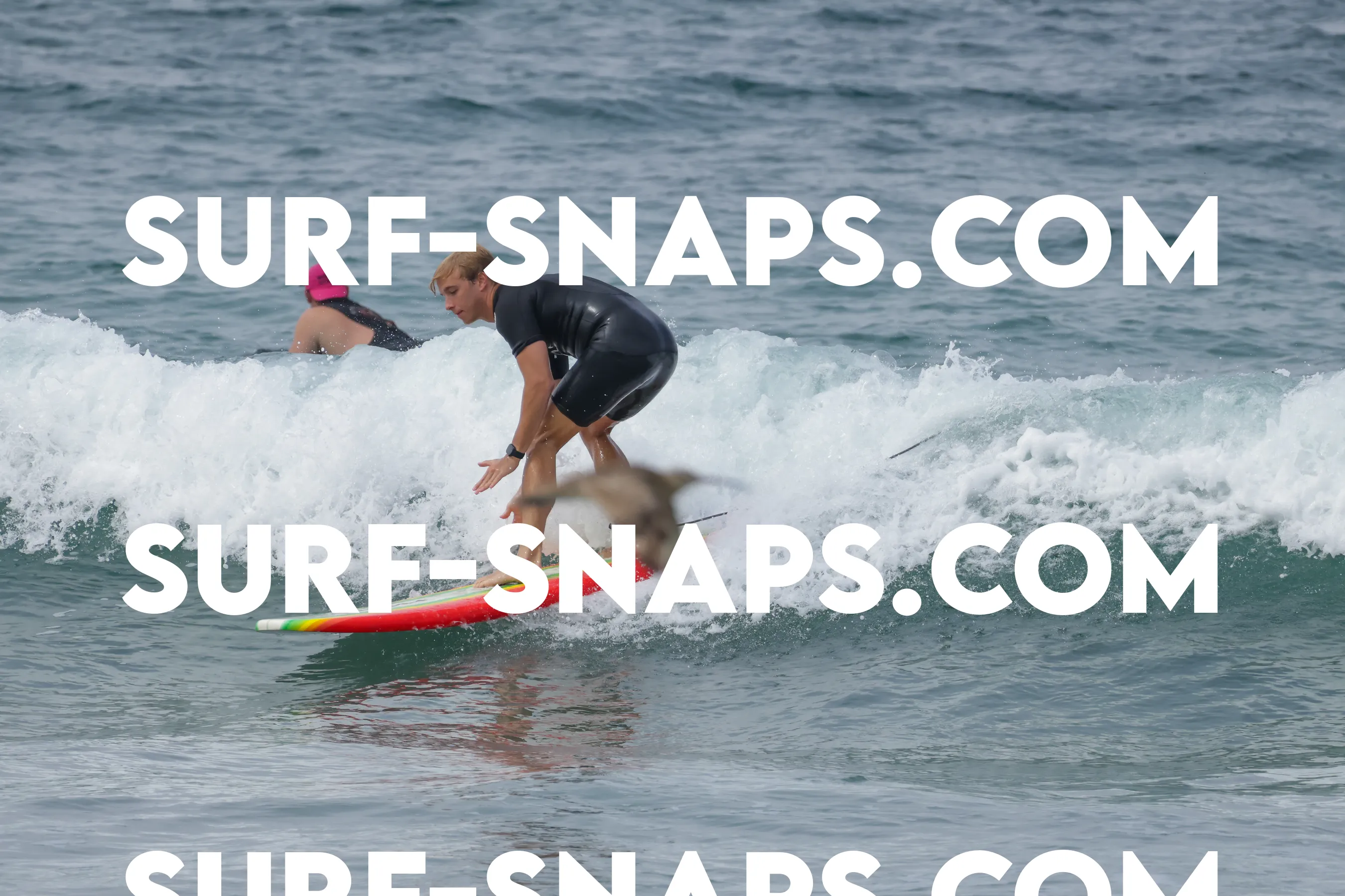 Tourmaline Surfing Park photo 21