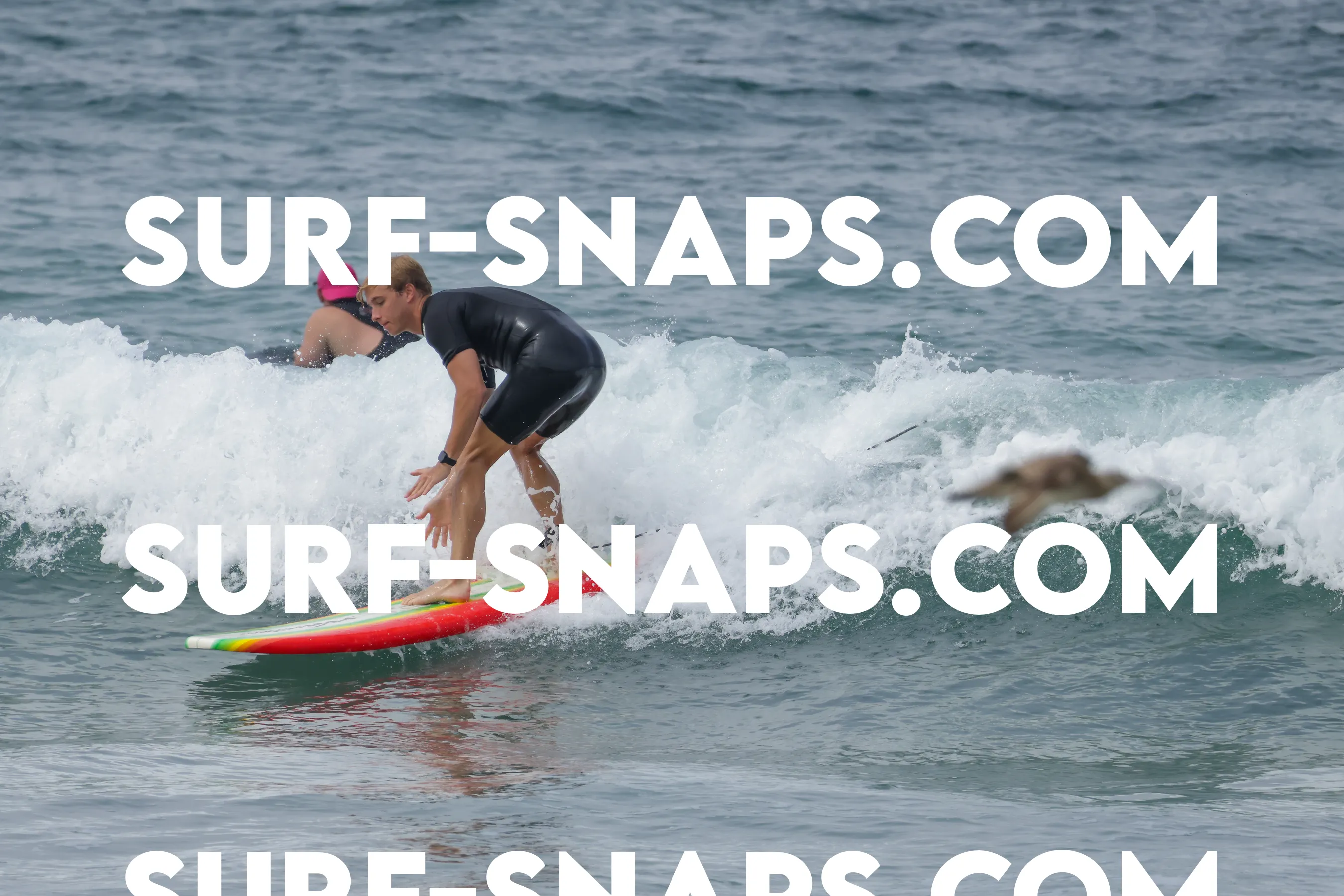 Tourmaline Surfing Park photo 22