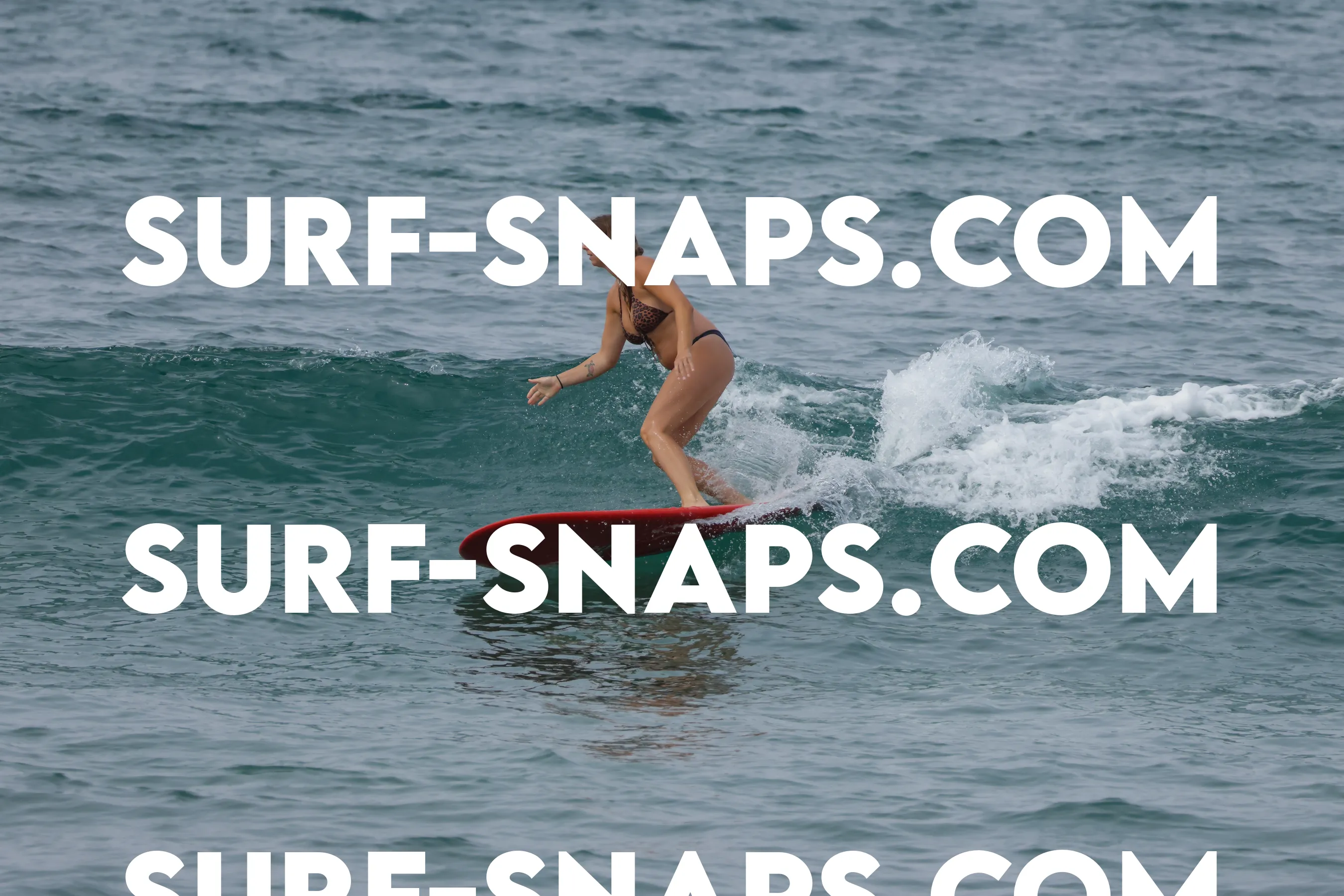 Tourmaline Surfing Park photo 24