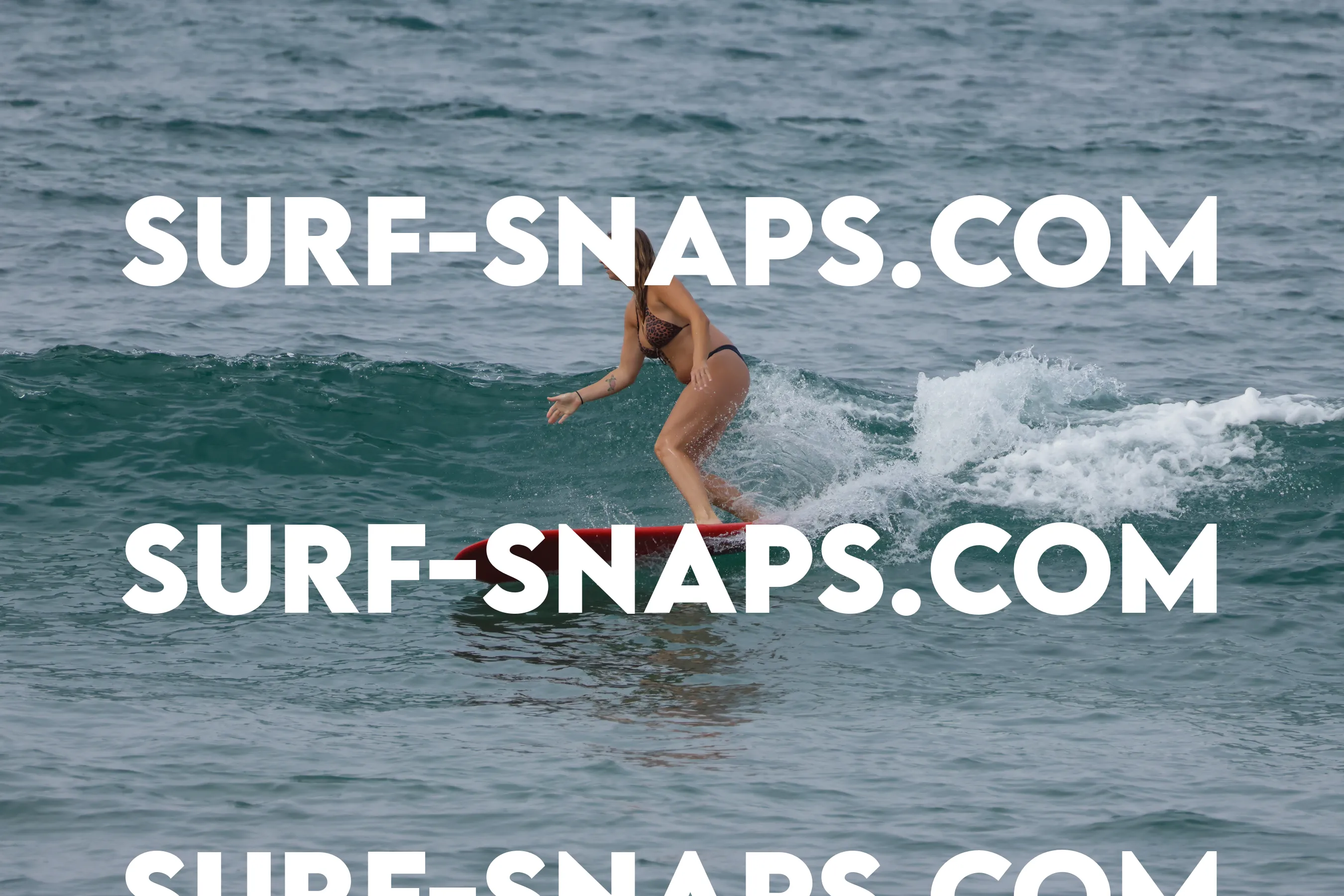 Tourmaline Surfing Park photo 25