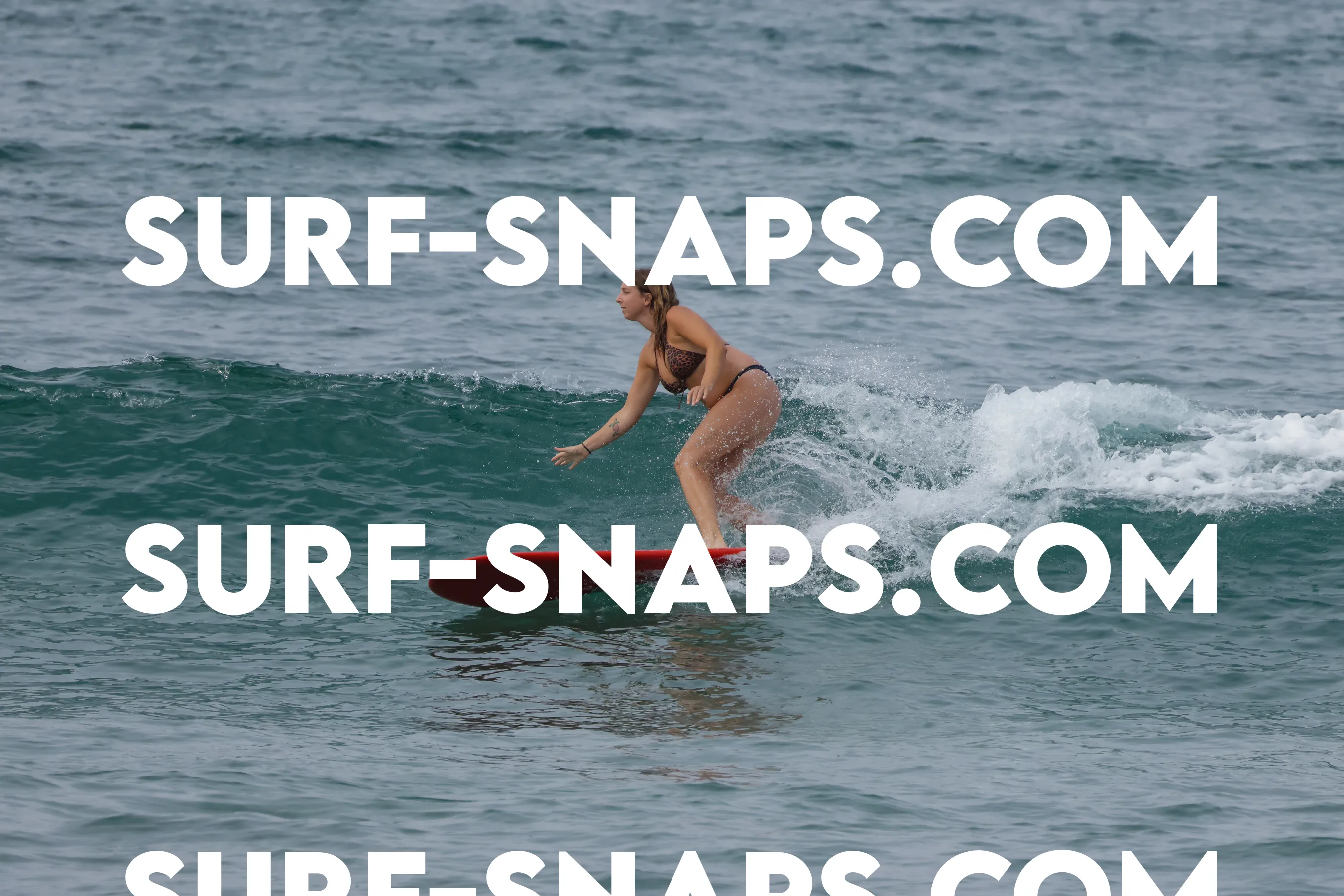 Tourmaline Surfing Park photo 27